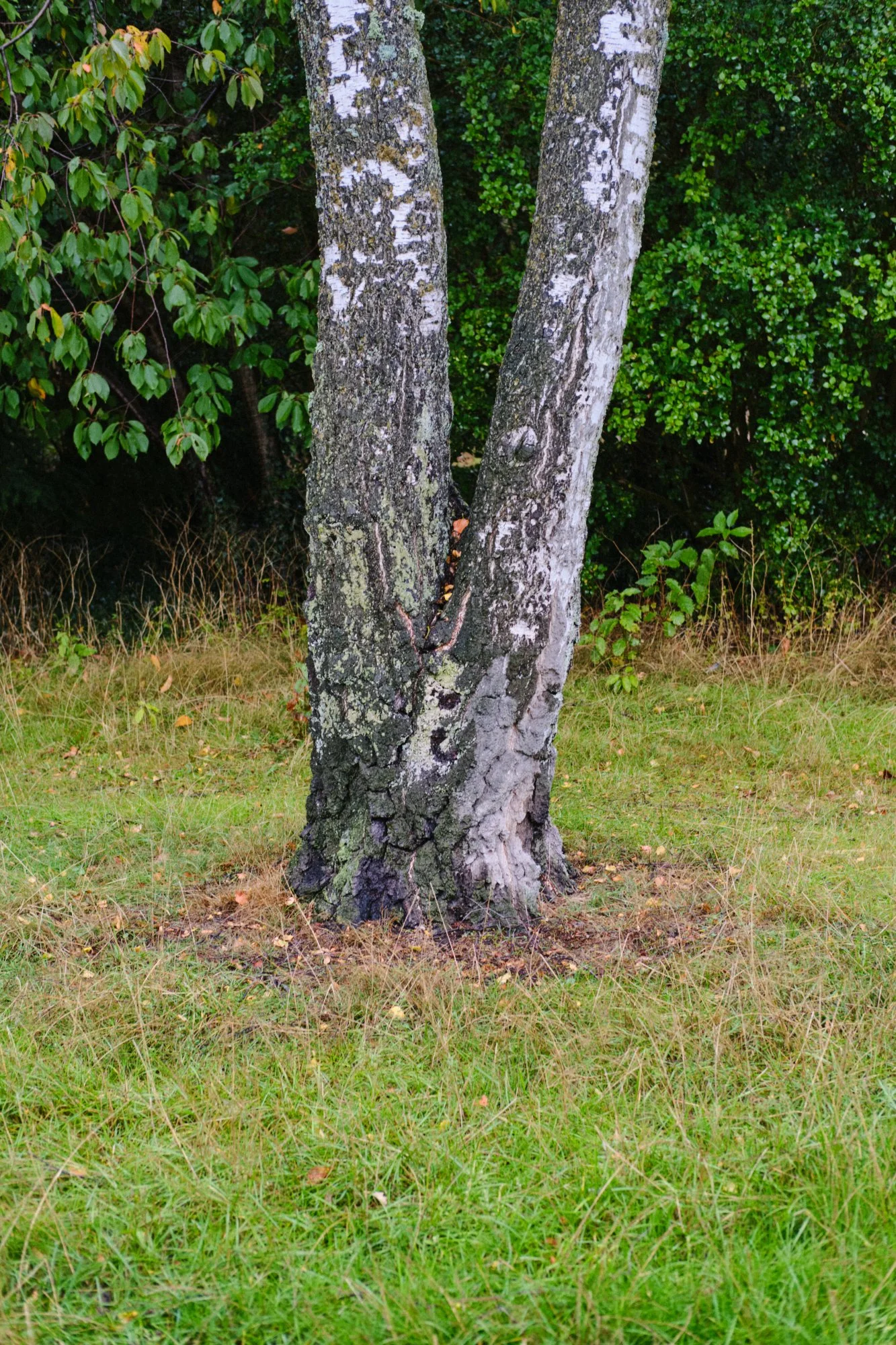 MIN_021026_0145 1.jpg