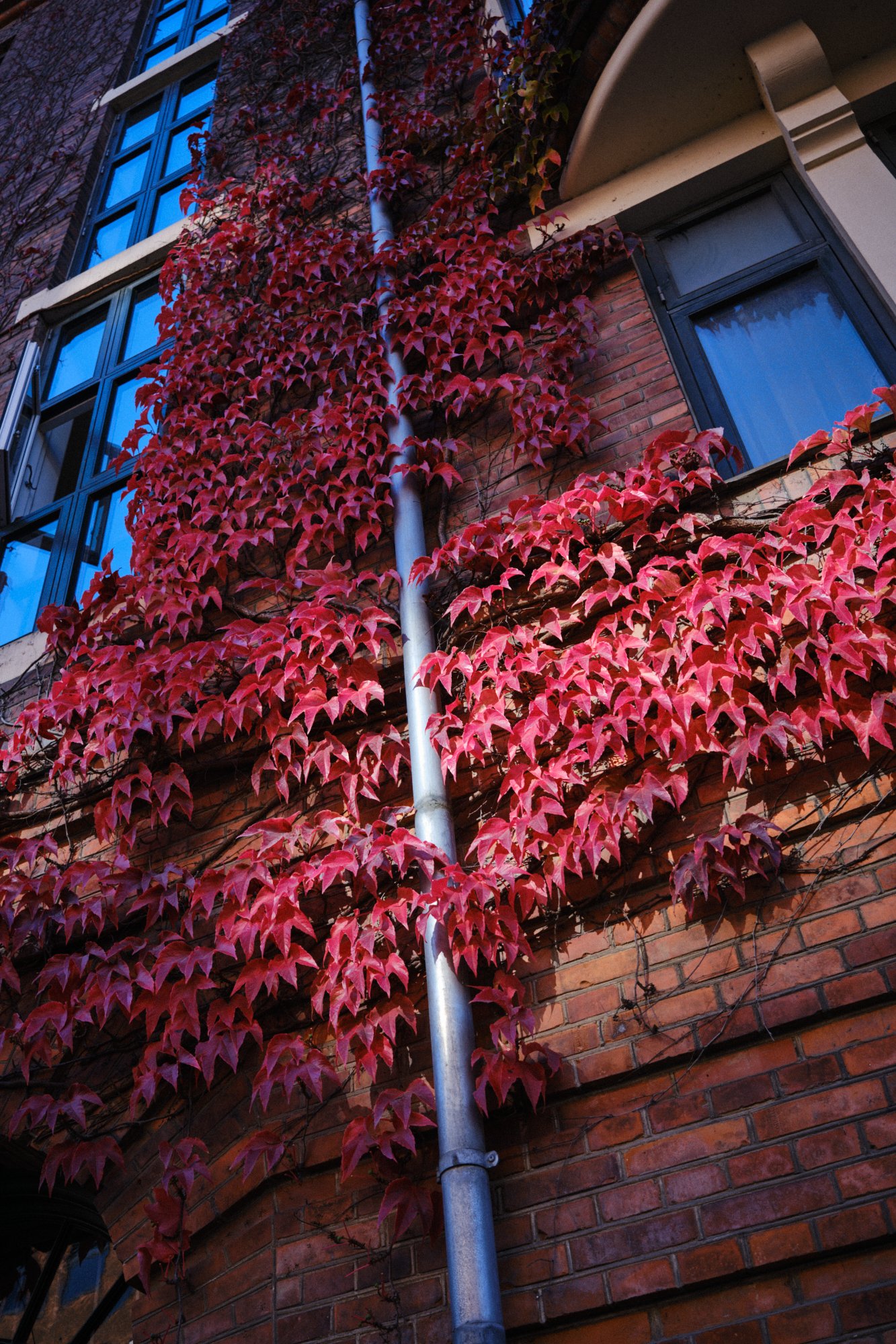 DSCF7207.jpg