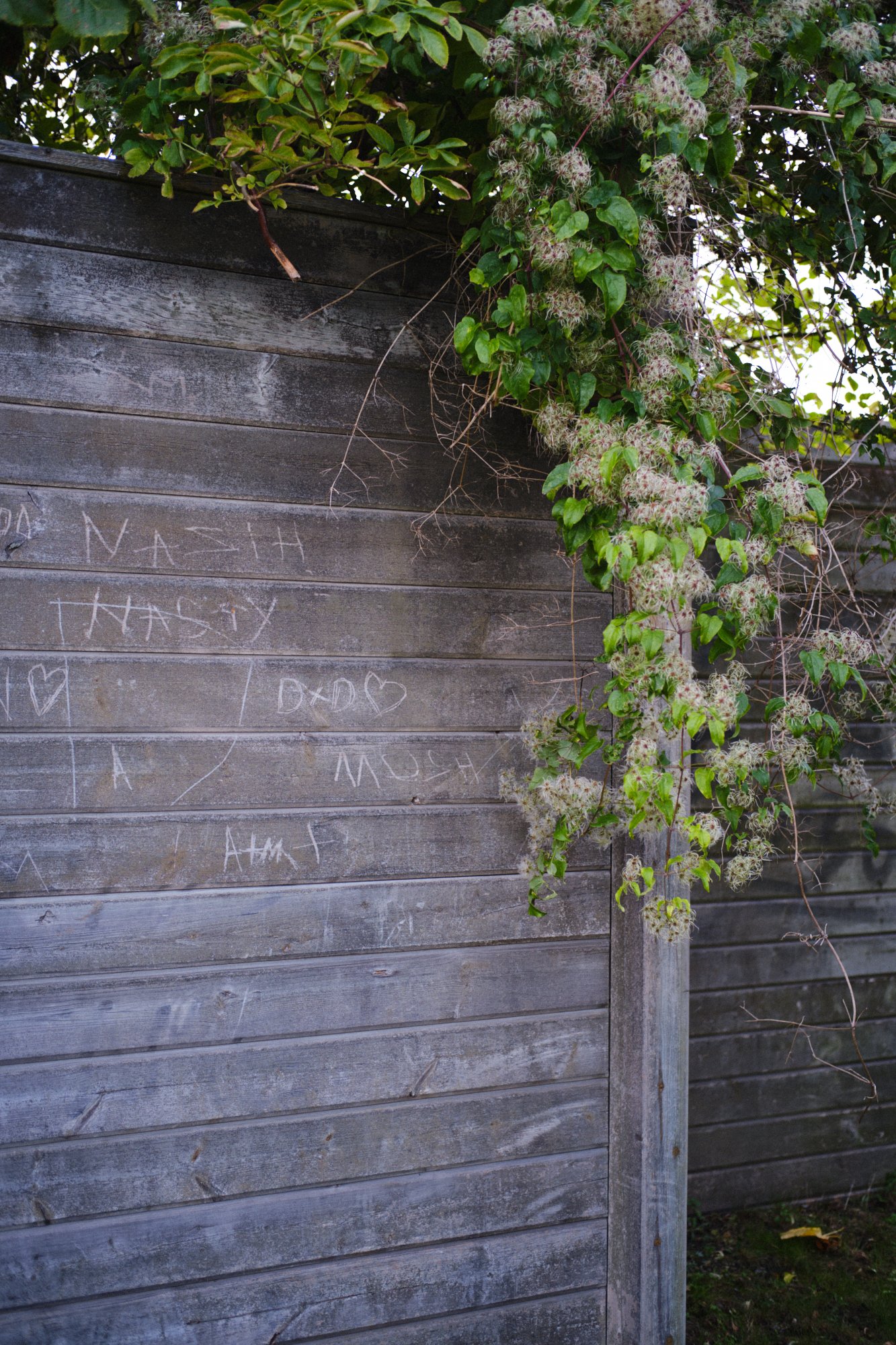 DSCF8576.jpg