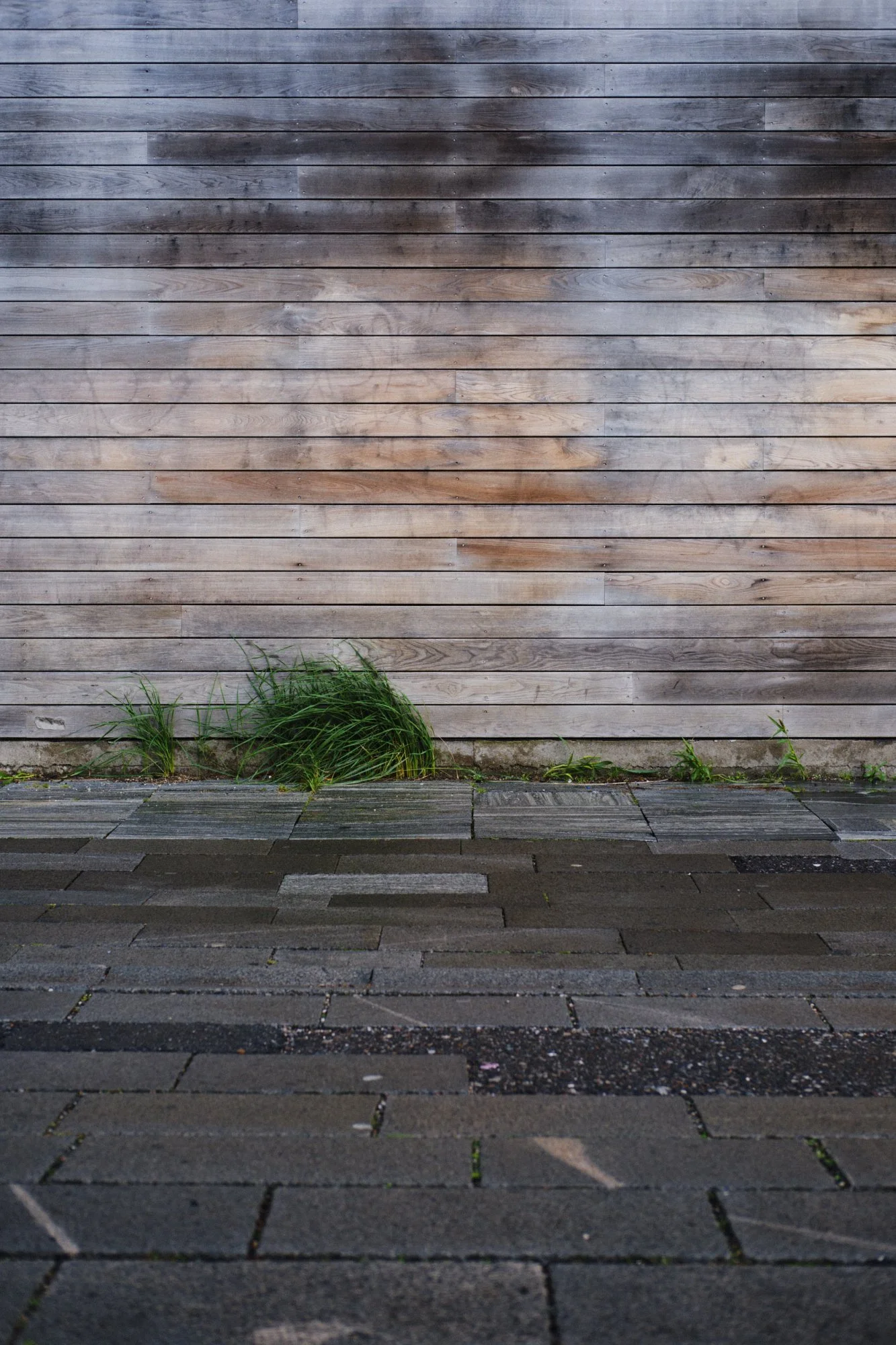 DSCF8560.jpg