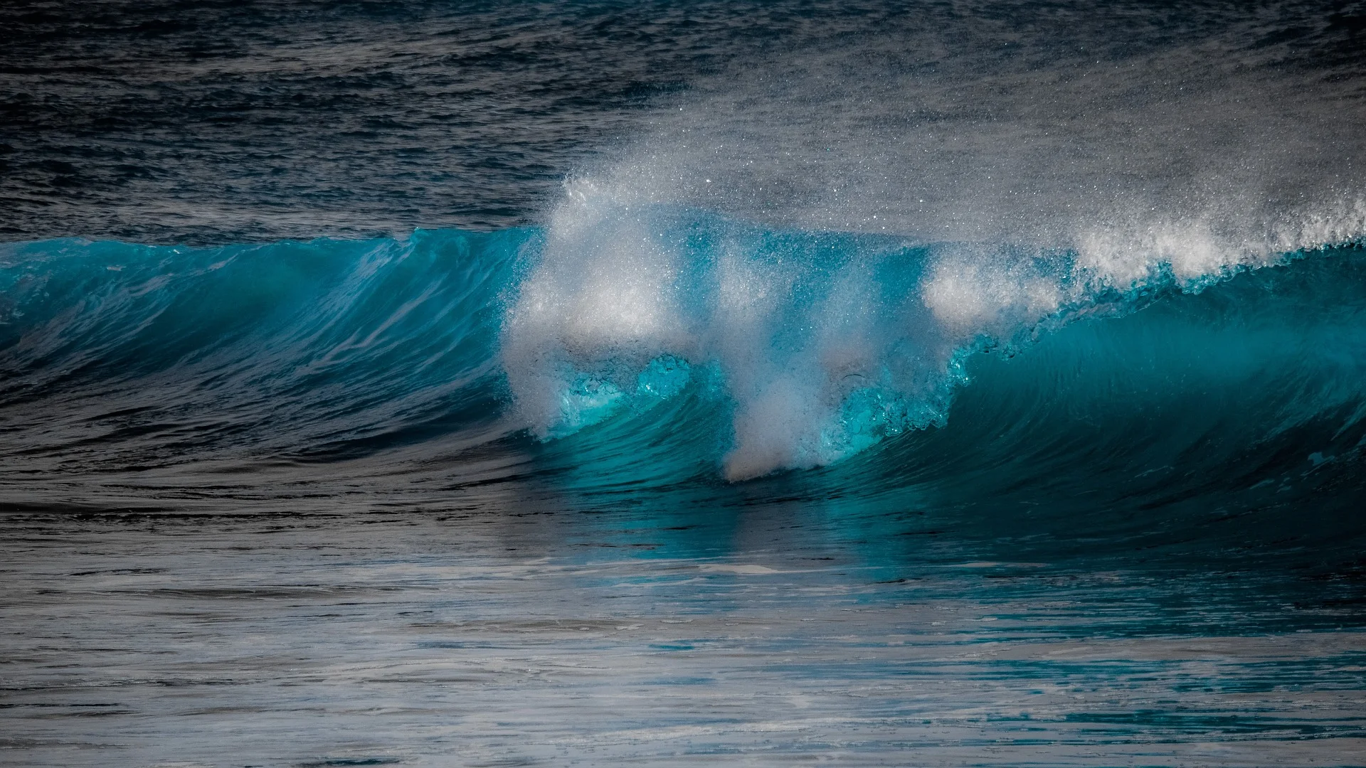 wave.jpg