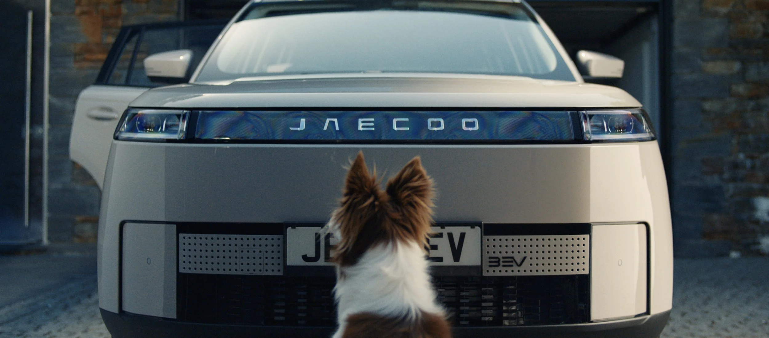 jaecoo dog.jpg