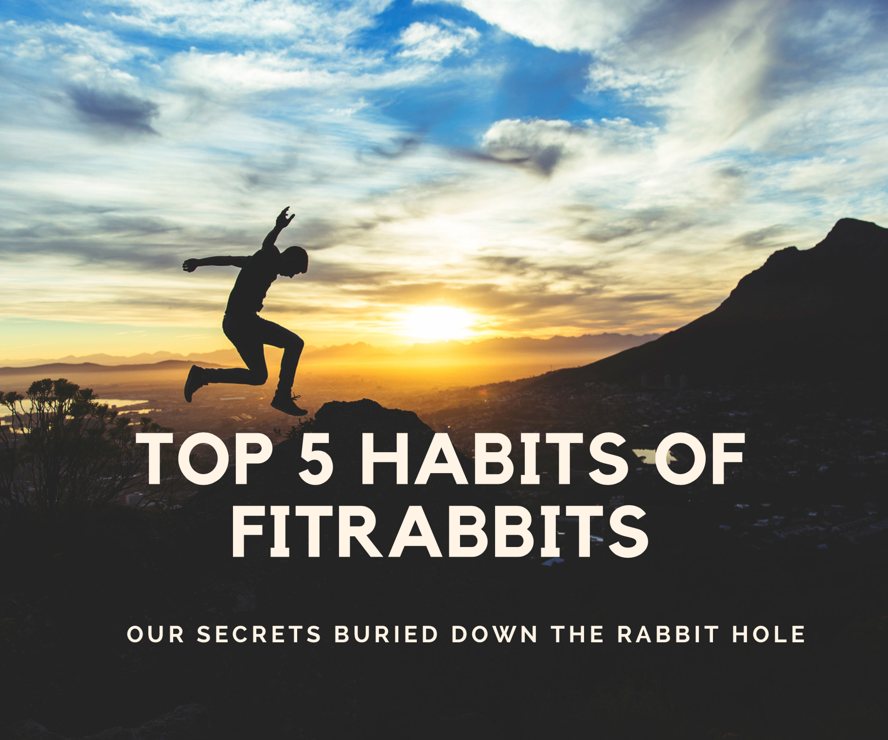 Top 5 Habits of FitRabbits