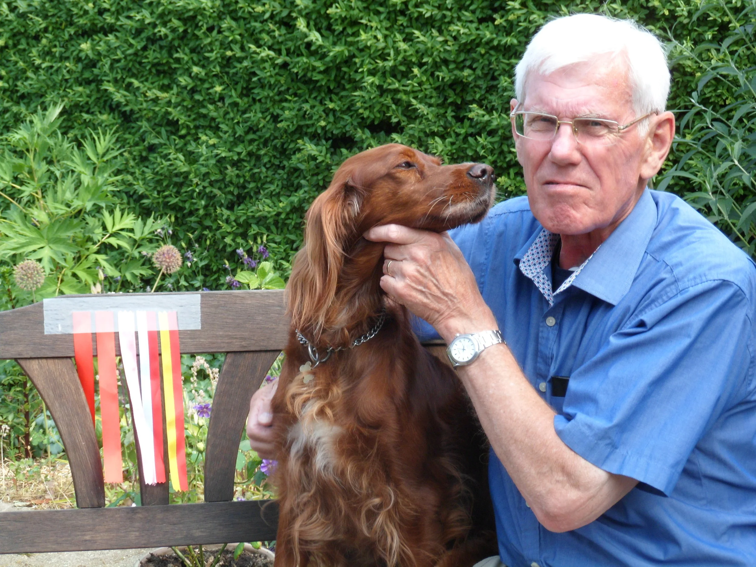 Dansk Pointer Klub's Jubilæumsudstilling