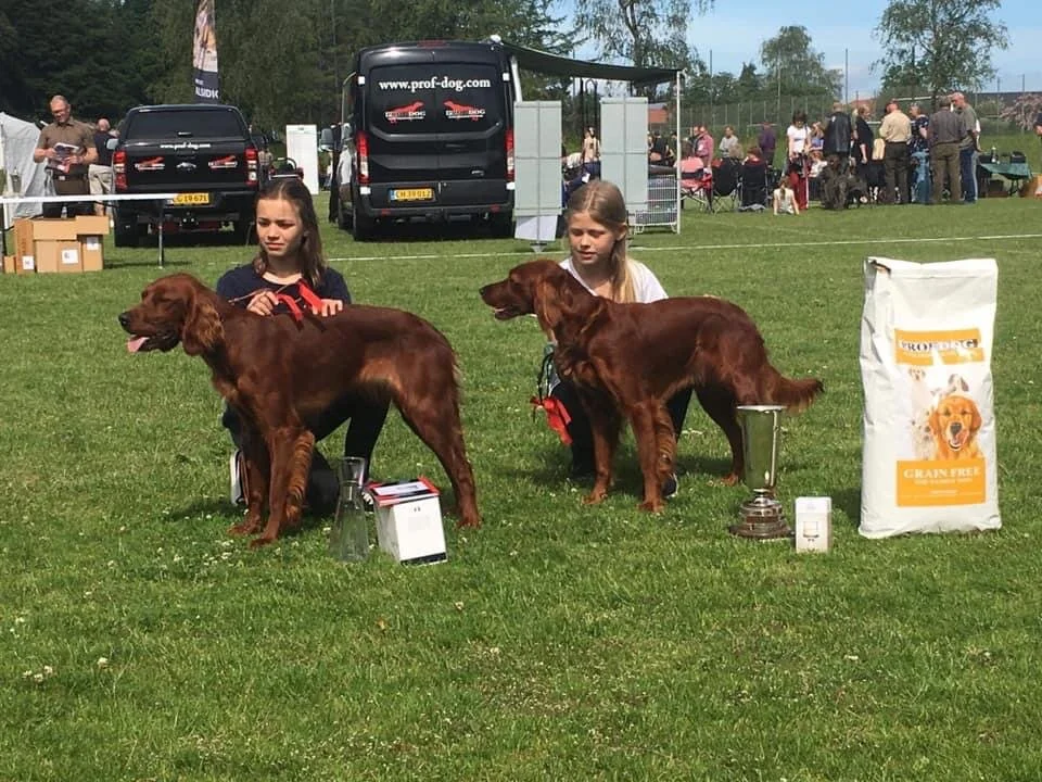 AFLYST: SJD udstillingen i Vissenbjerg
