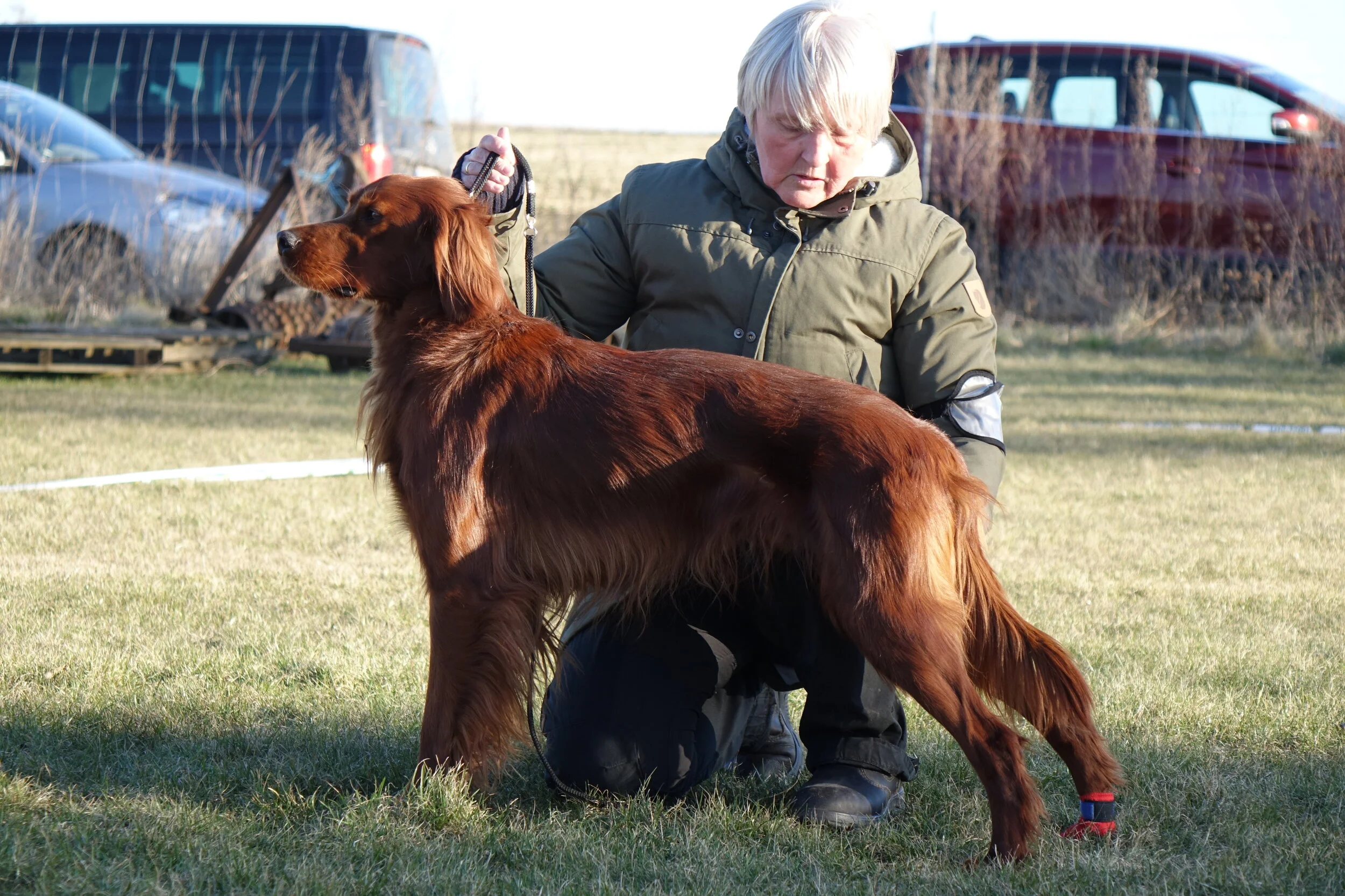 SJD Udstilling i Vissenbjerg