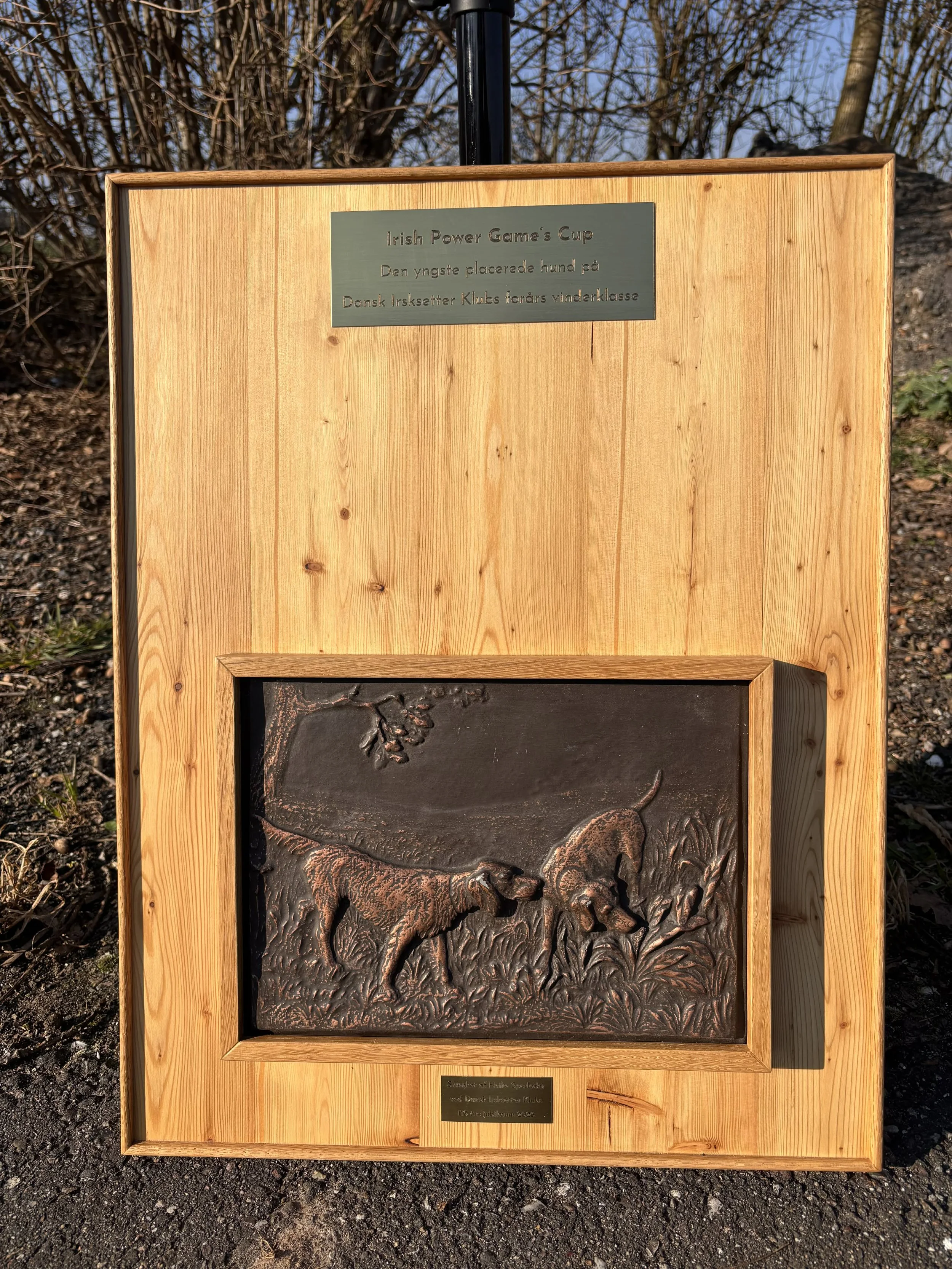 Yngst placeret hund på DISK forårs Vinderklasse