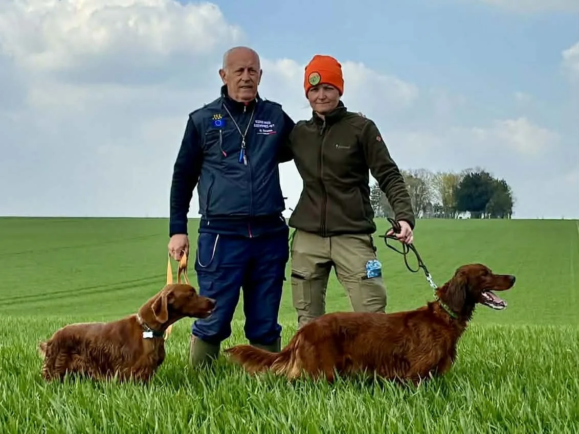 Europamesterskabet for Irske Settere 2026