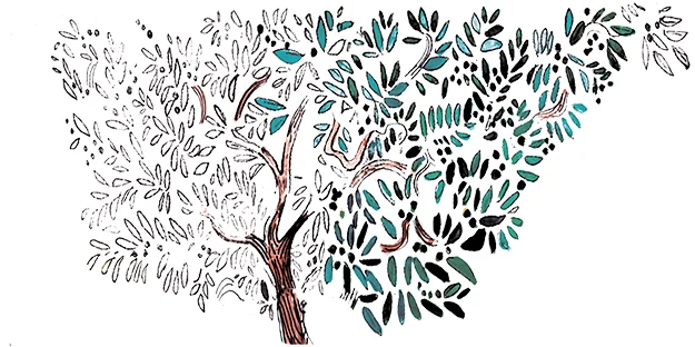 tree.jpg
