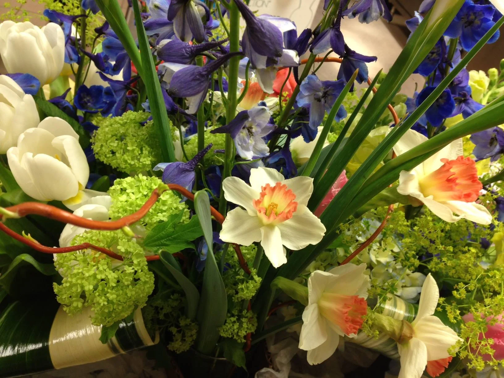 A beautiful mix of Irises, Tulips, and Daffodils