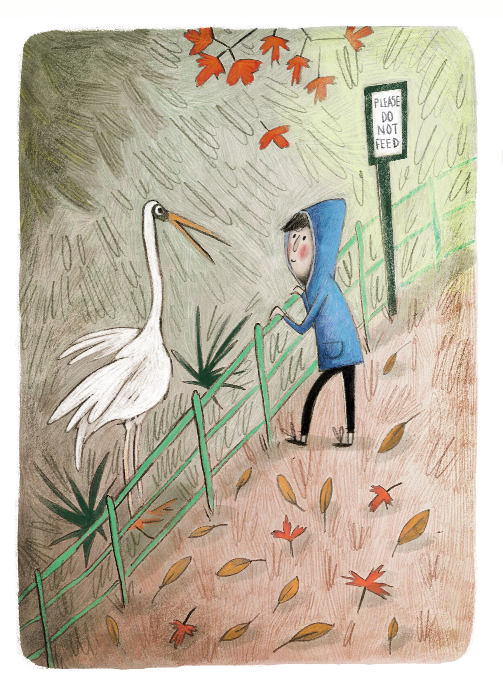 Sketchbook