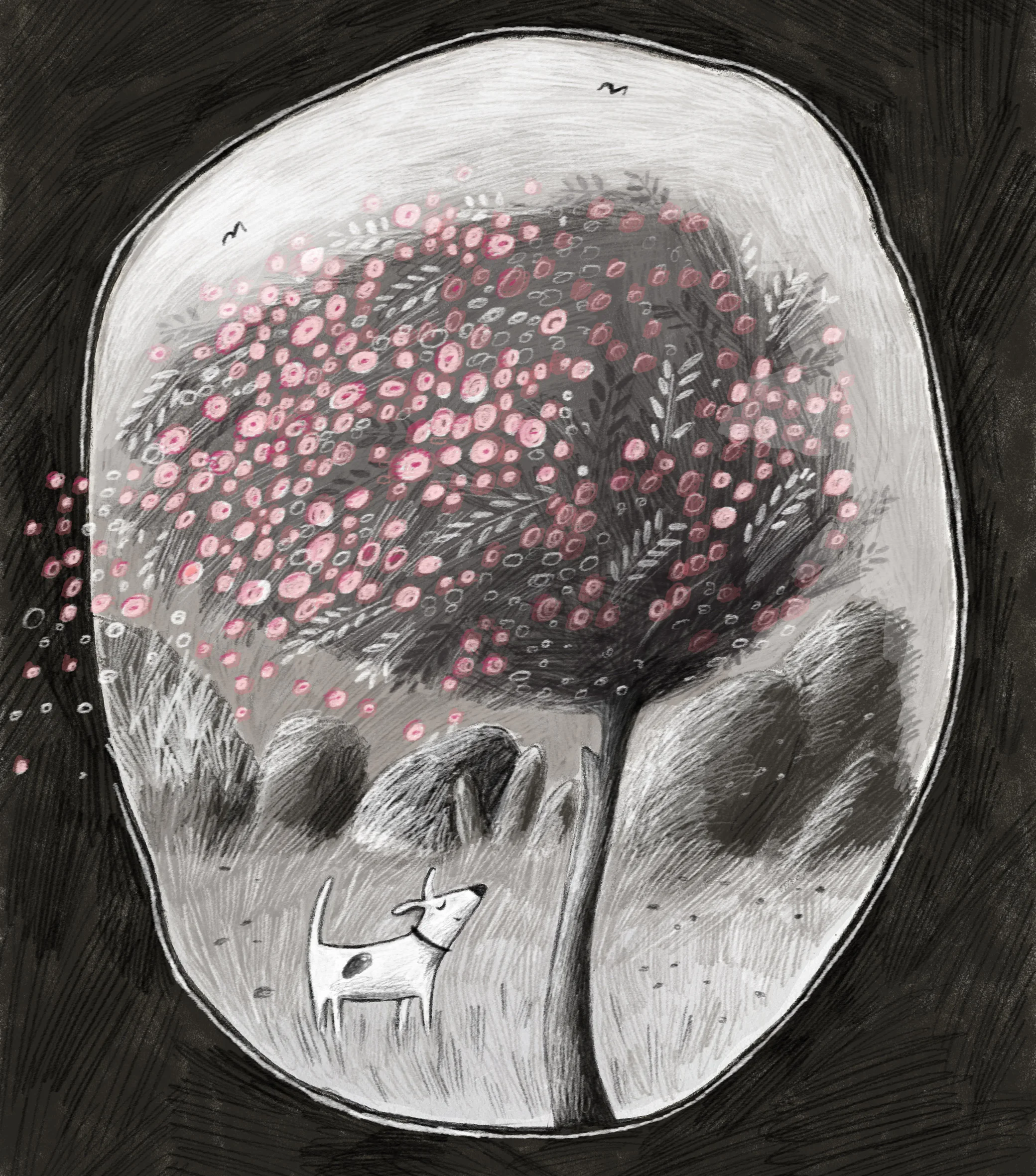 Sketchbook