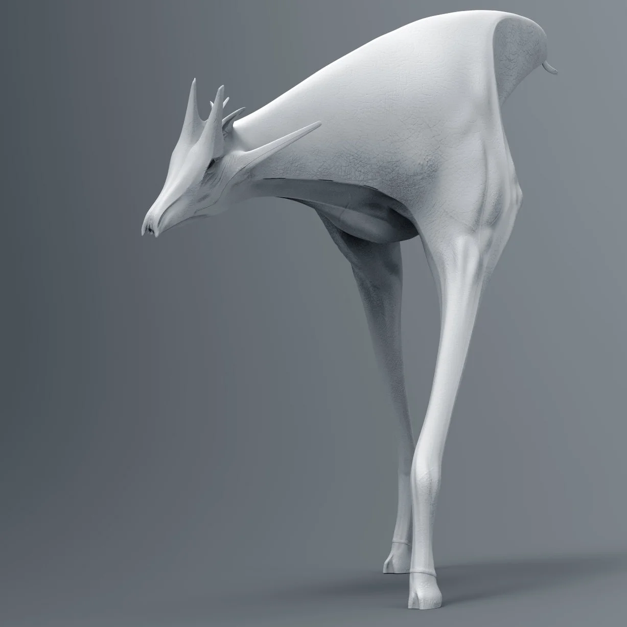 Kangaroo_01.506.jpg