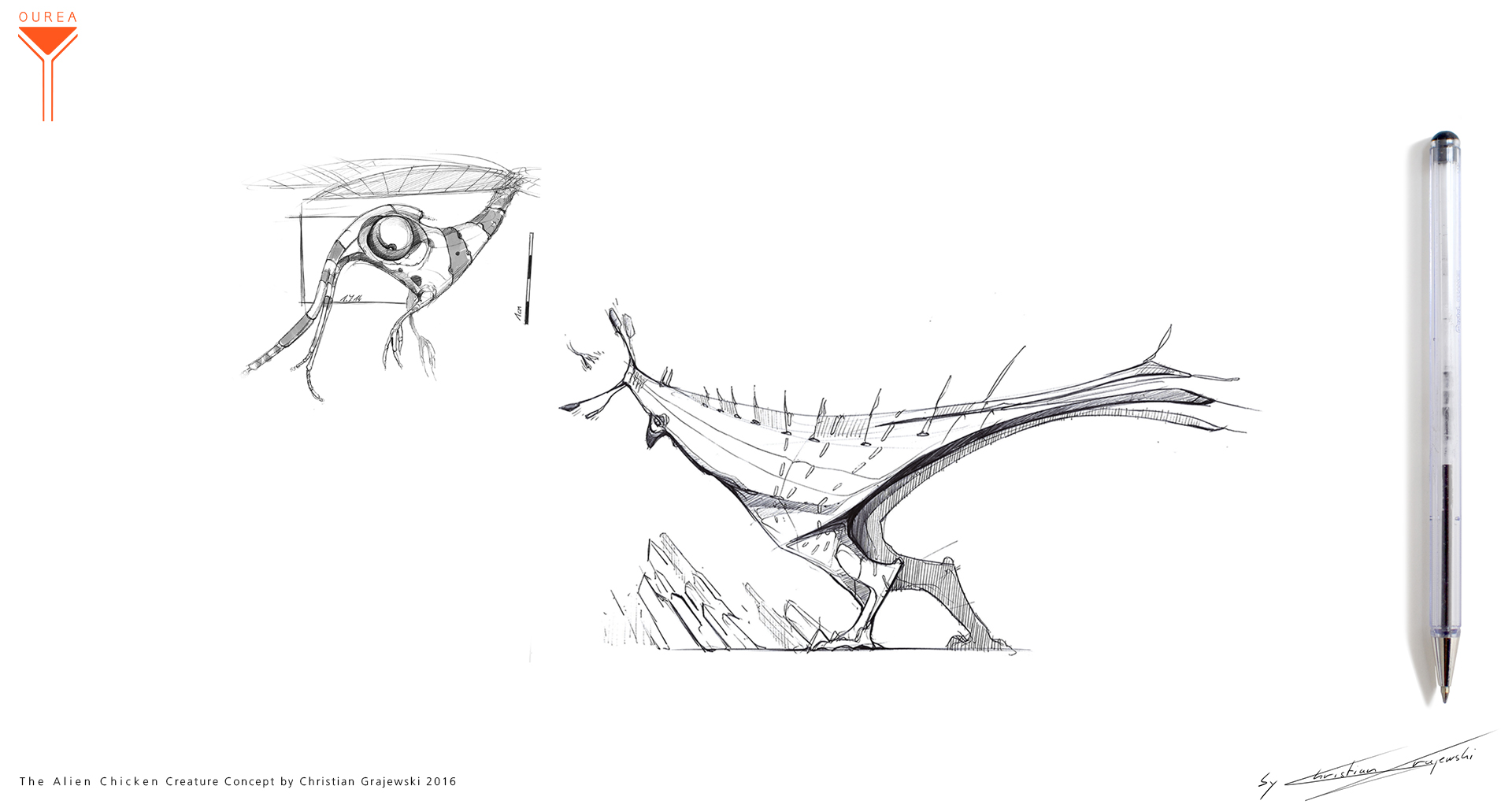 The Alien Chicken Creature Concept 01 by Christian Grajewski.jpg