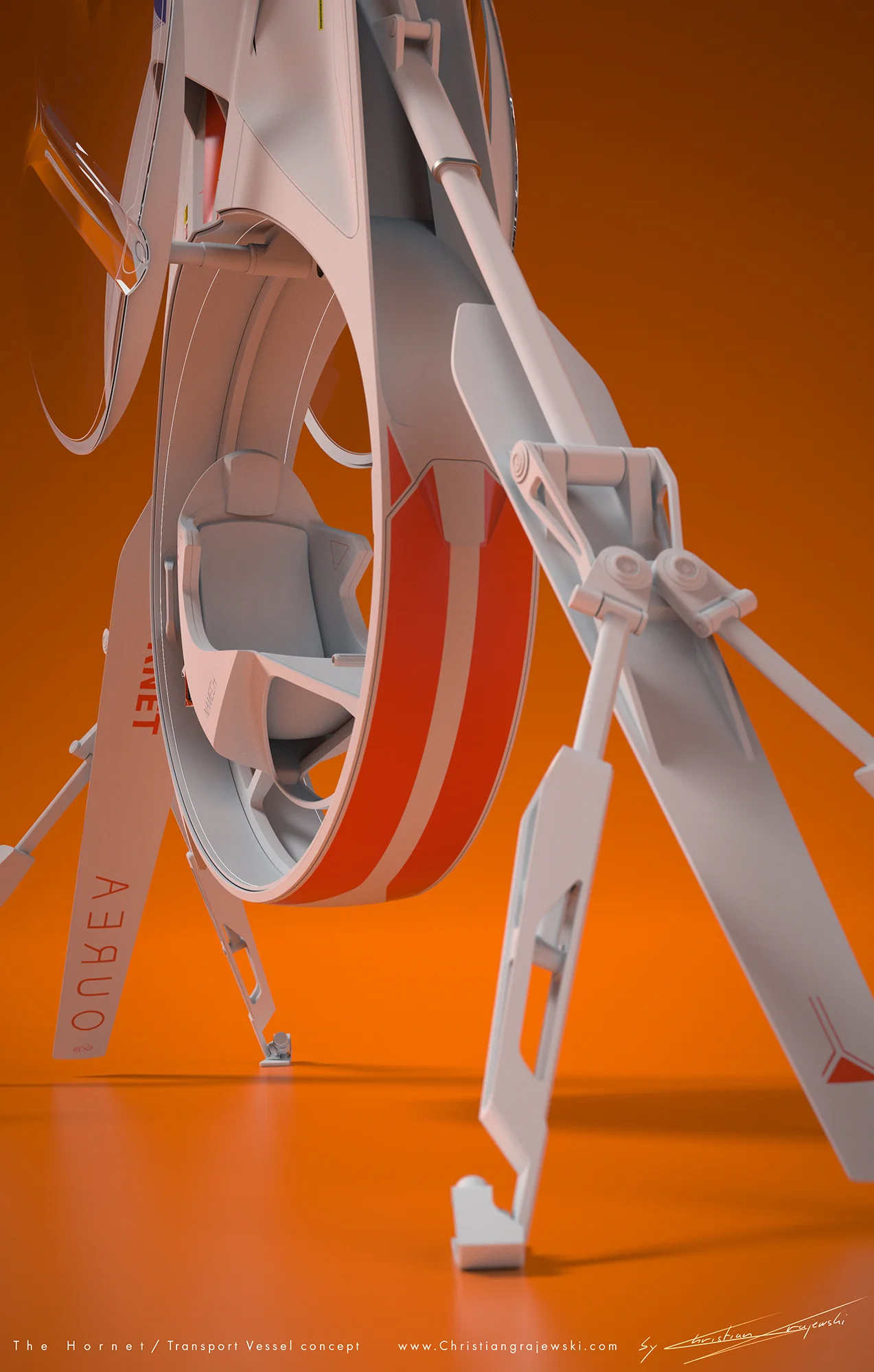 Hornet grey orange 10 Christian Grajewski.jpg
