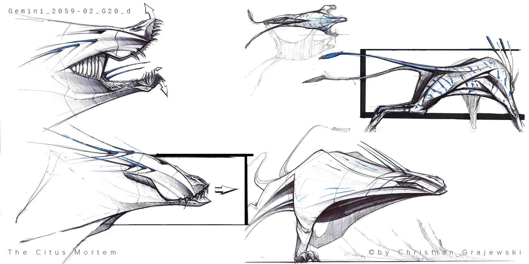 Citius Mortem Sketches.jpg