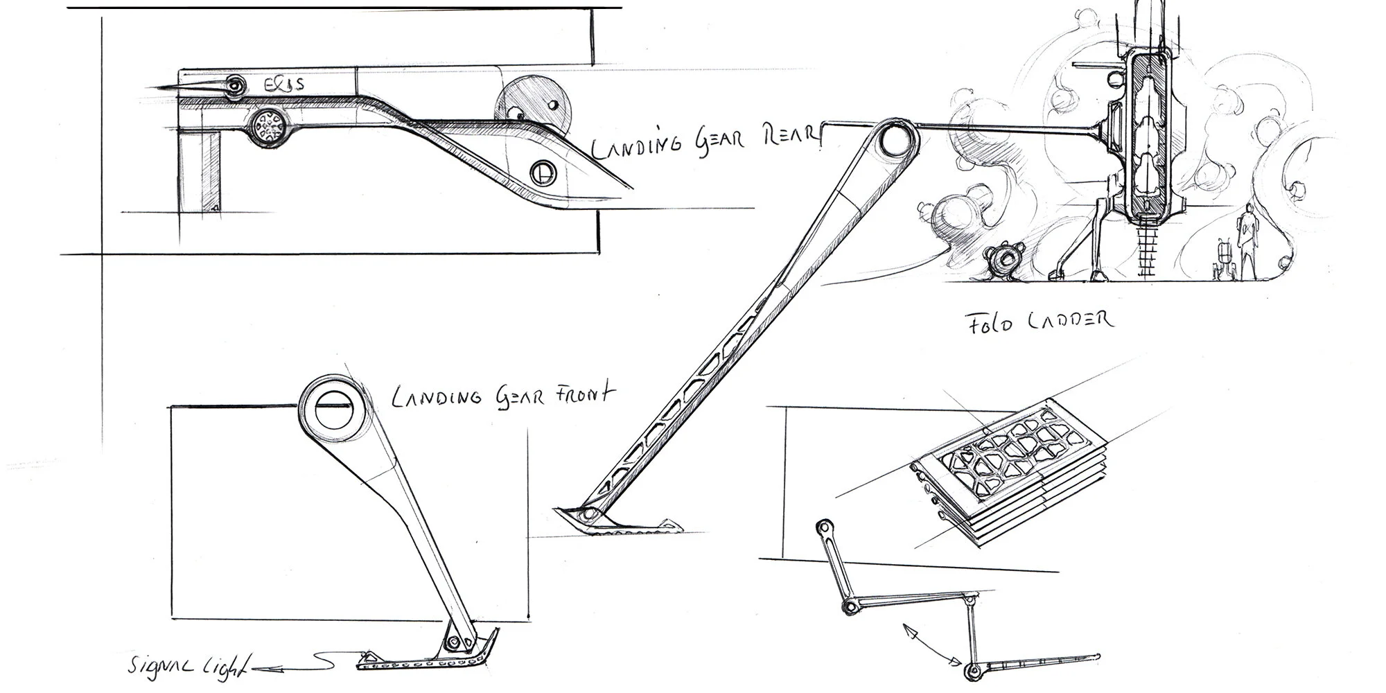 Sandpiper Random Sketches.jpg