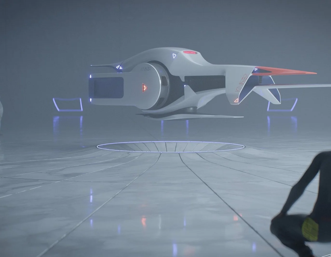 LR 25 07 08 Kaiser Pinguin Christian Grajewski 04.jpg