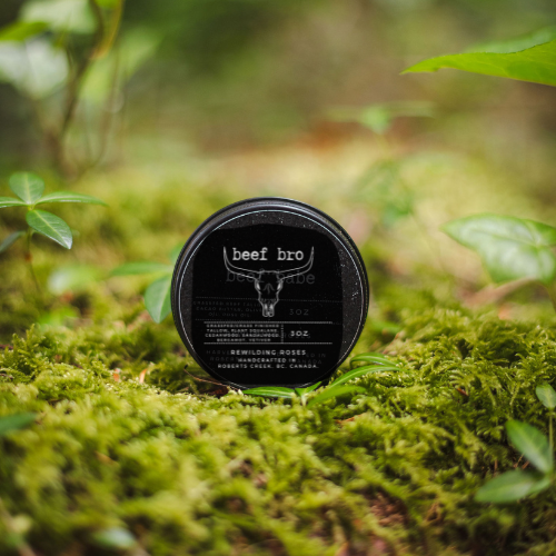 Copy of Katharina Grace (17).png