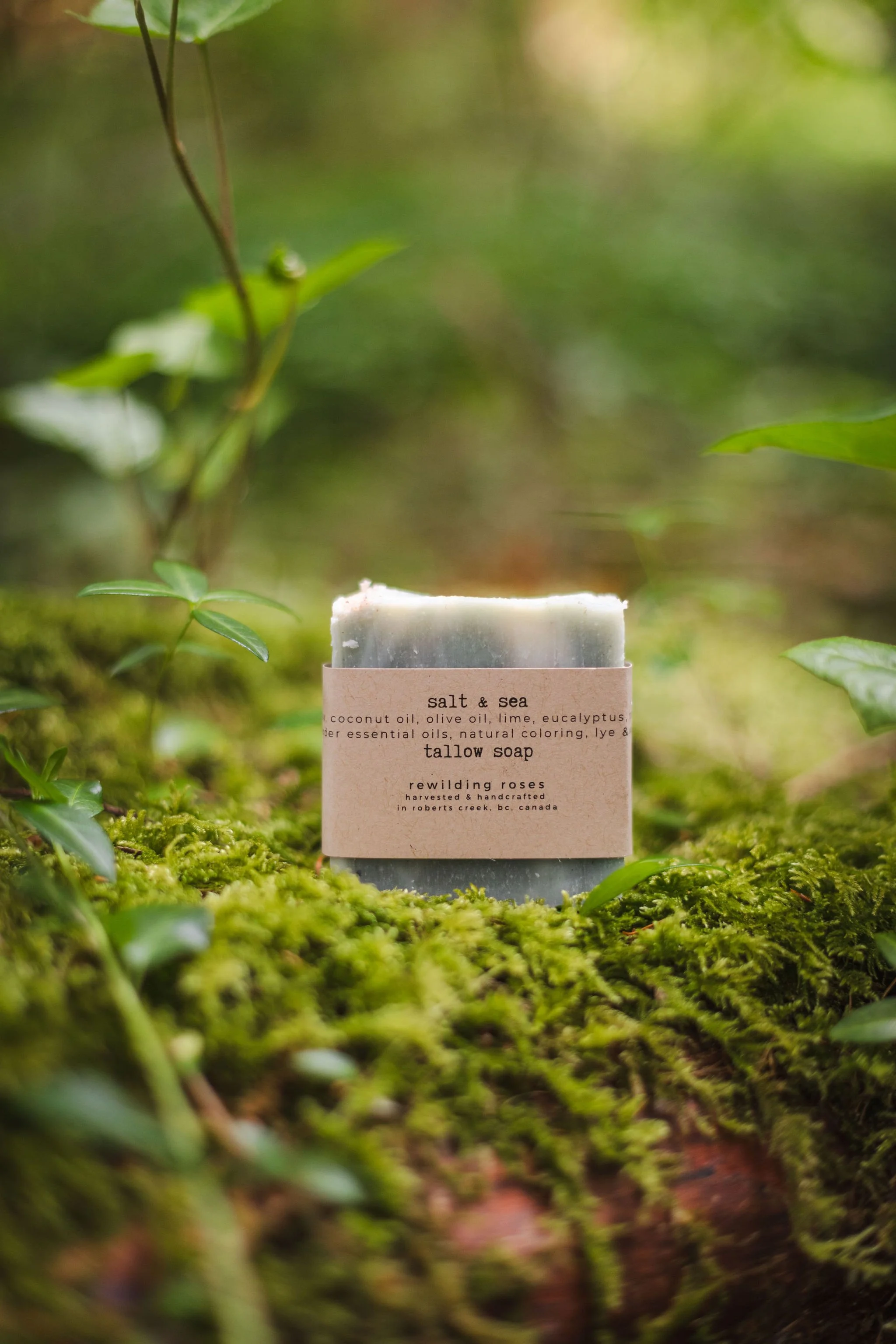 Salt & Sea Soap