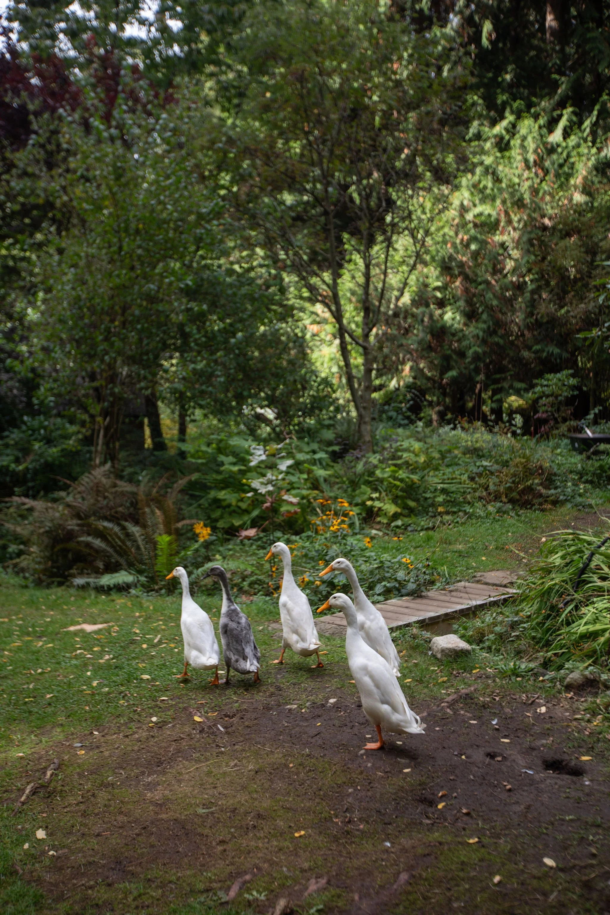 Lisa'sProperty2024byCBR-39.jpg