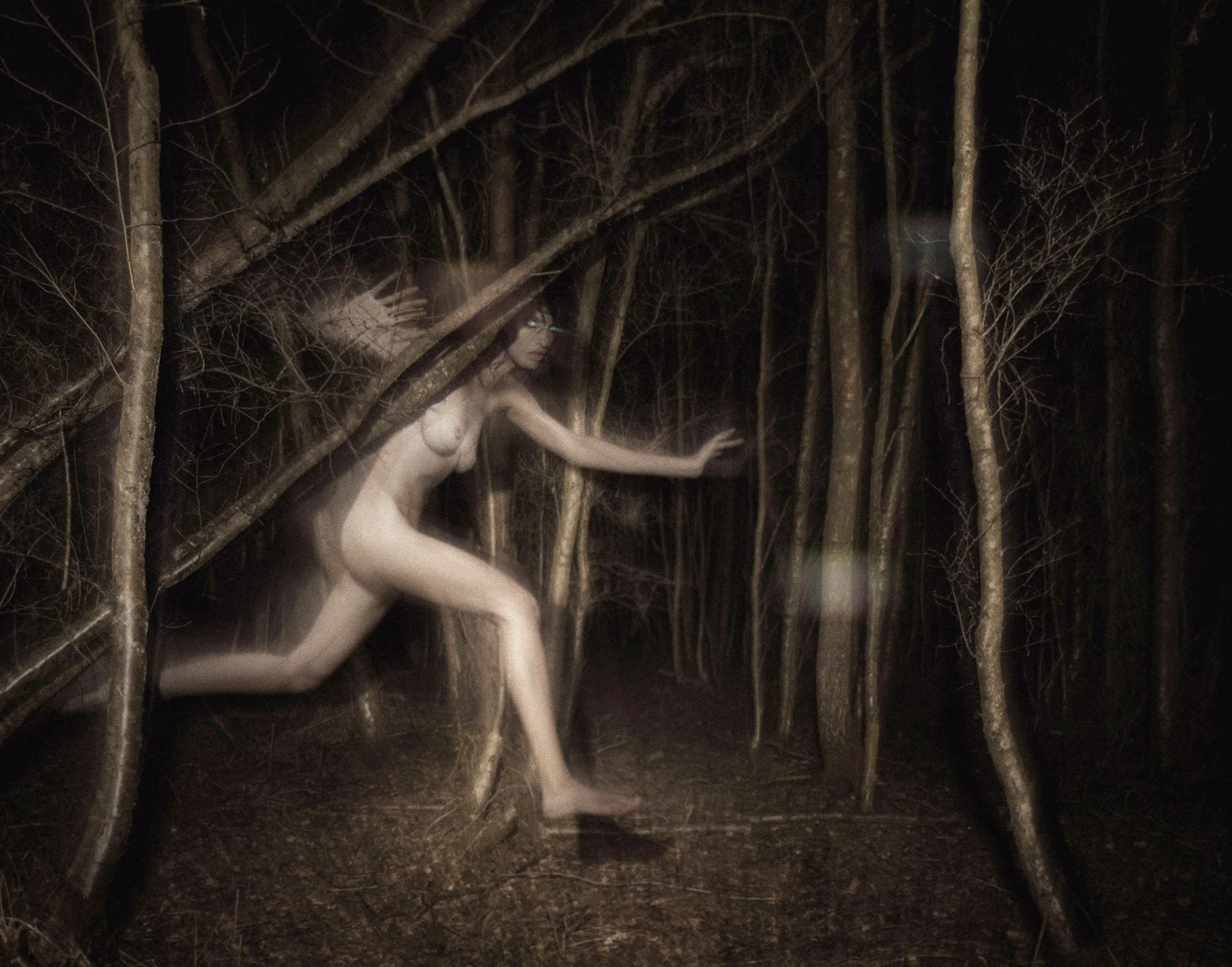 runningwitchbirchwebcrop.jpg