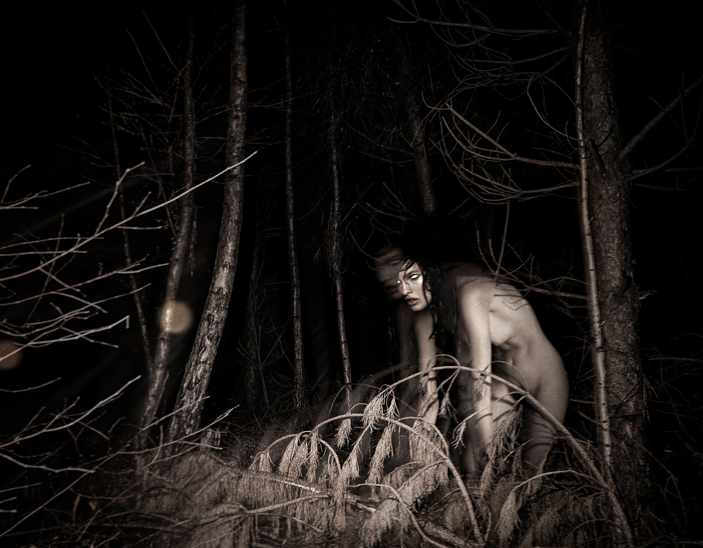 Witch of the Wood