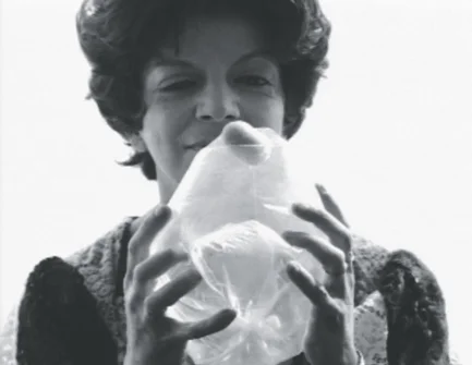 Lygia Clark | artes plásticas