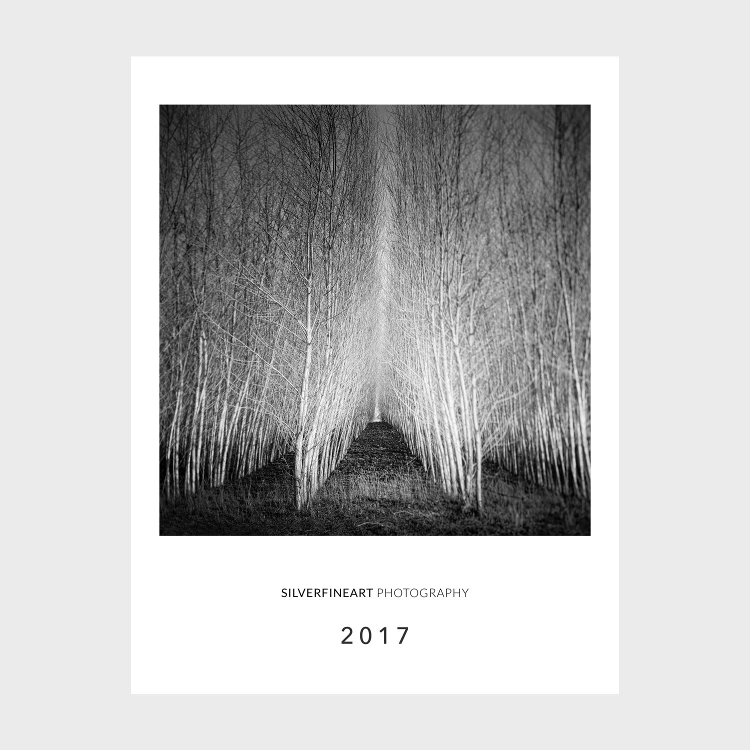 SILVERFINEART Foto Kunst Kalender Art Calendars