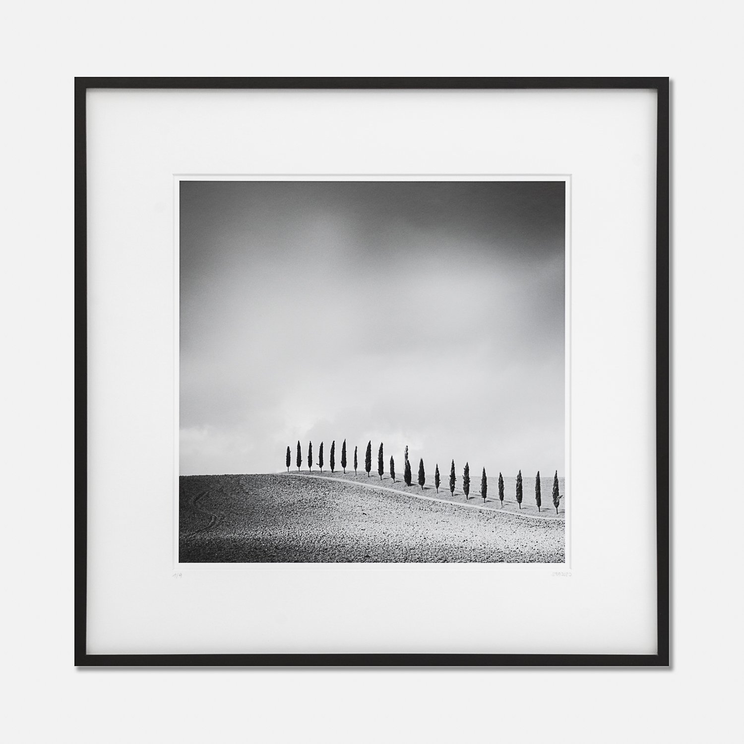 SILVERFINEART GALLERY - Gerald Berghammer - Row of Cypress Trees #1, Tuscany, Italy