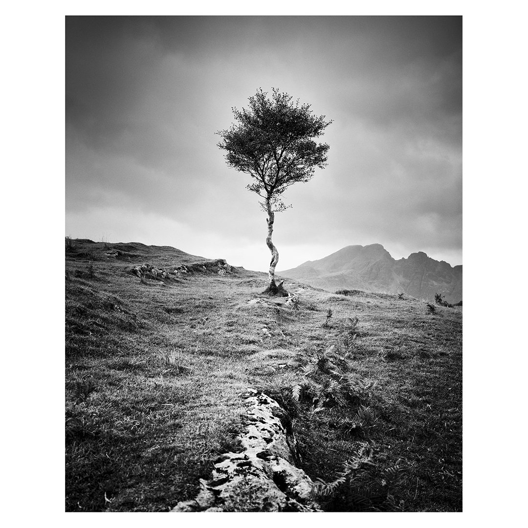 Strong Birch, Scotland
.
.
.
#landscapephotography
#mediumformatphotography
#blackandwhitephotography
#blackandwhite
#bnw
#monochrome
#monoart
#bw
#monotone
#monochromatic
#fineart_photobw
#geraldberghammer
#silverfineart
#minimalistphotography
#mini
