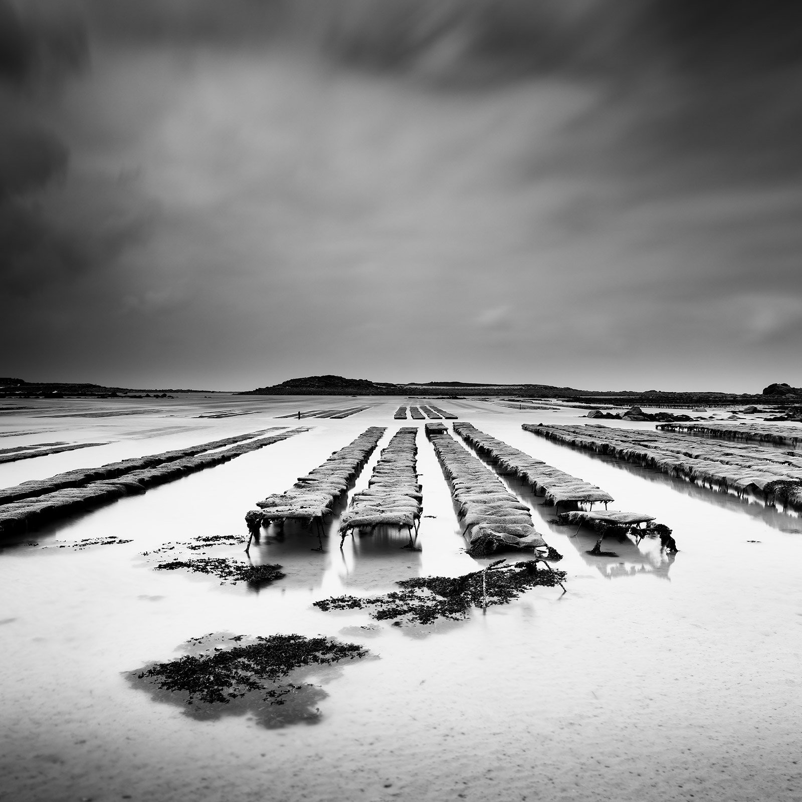 Gerald Berghammer Black and White Photography Oyster Farm low tide