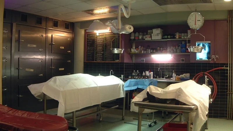 Morgue.jpg