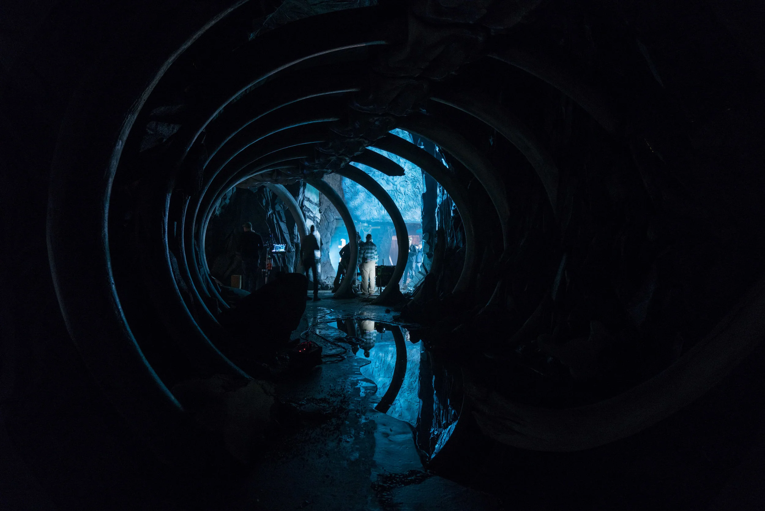 170302_Int Cave Bones_003_05526.jpg