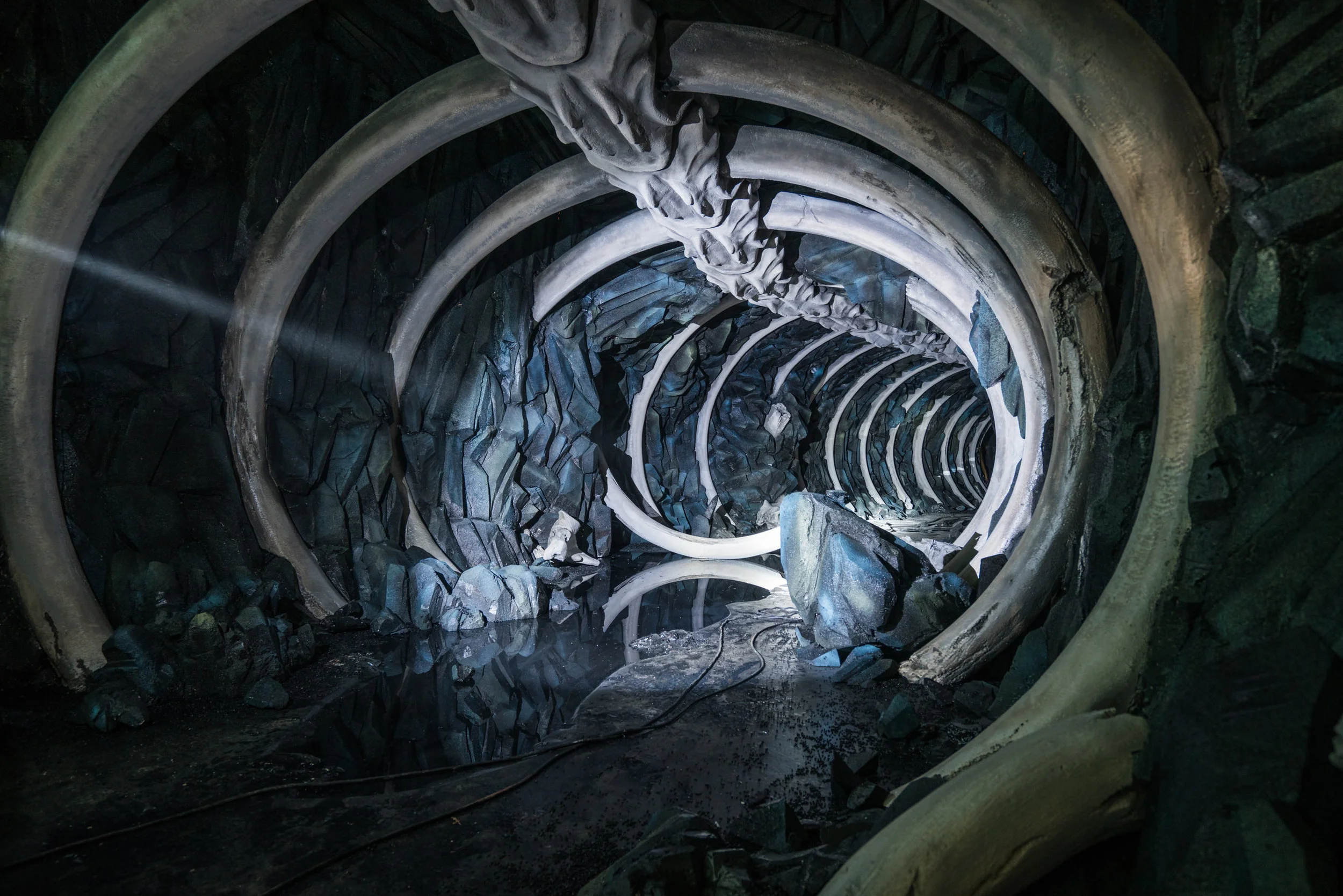 170302_Int Cave Bones_007_05533.jpg