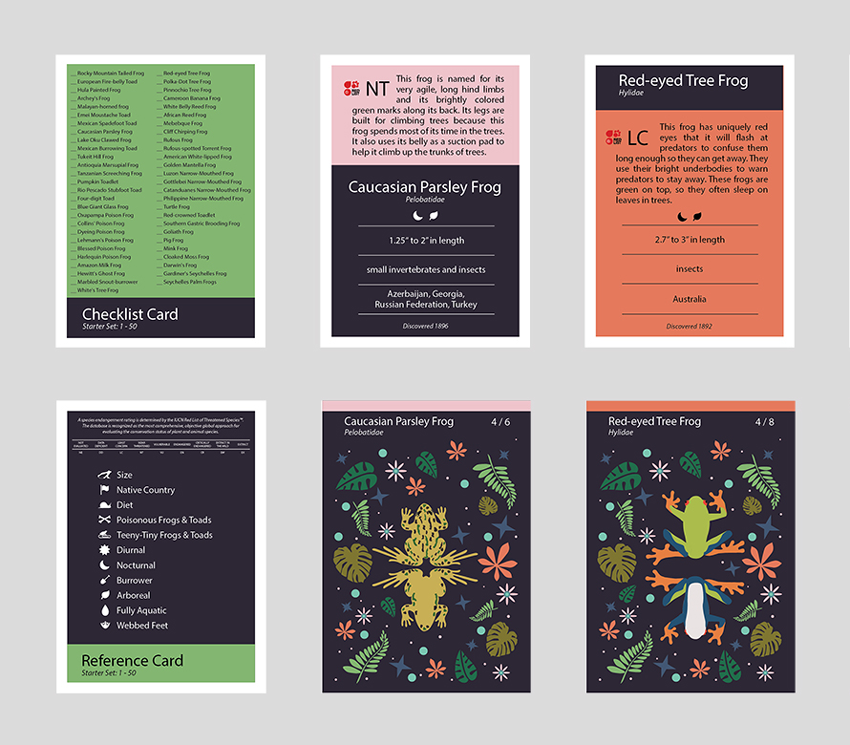 Frog-Cards-1.png