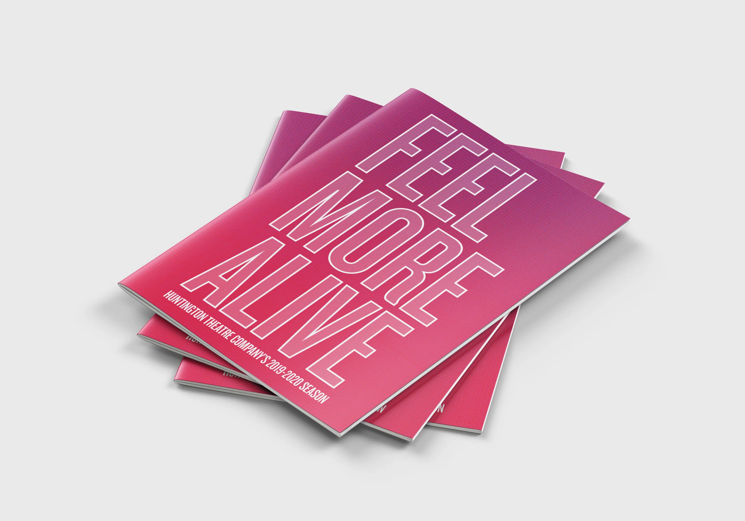 FMA_BROCHURE_MOCKUP_1.jpg