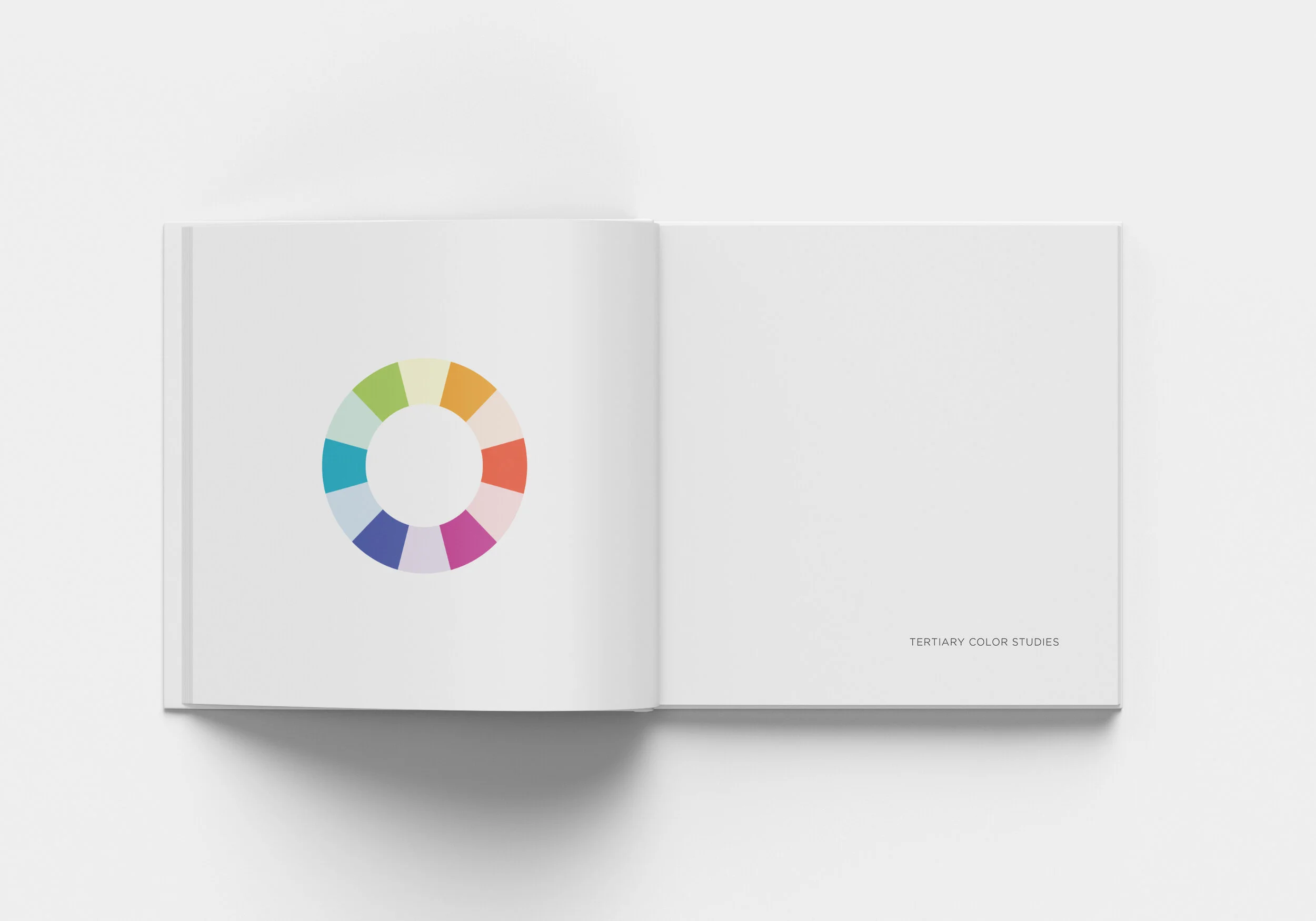 THESIS_BOOK_MOCKUP_8.jpg