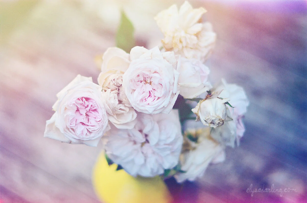 image-asset (3).jpeg