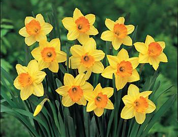 Debbie Downer - Building A Positive Mindset