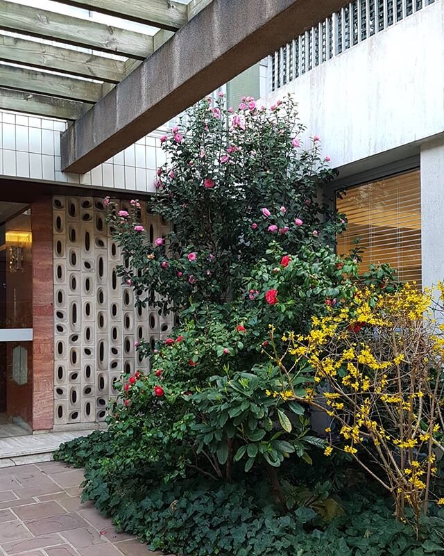 #parislife #1960s #facadedesign #springinparis #geometricalpatterns #facadeinspiration #entrancedoor #entrancedesign #streetsofparis #frencharchitecture #springflowers #parisspring #colorfulnature #entrancedoor #parisdoors #redmarble #sixtiesdecor #s