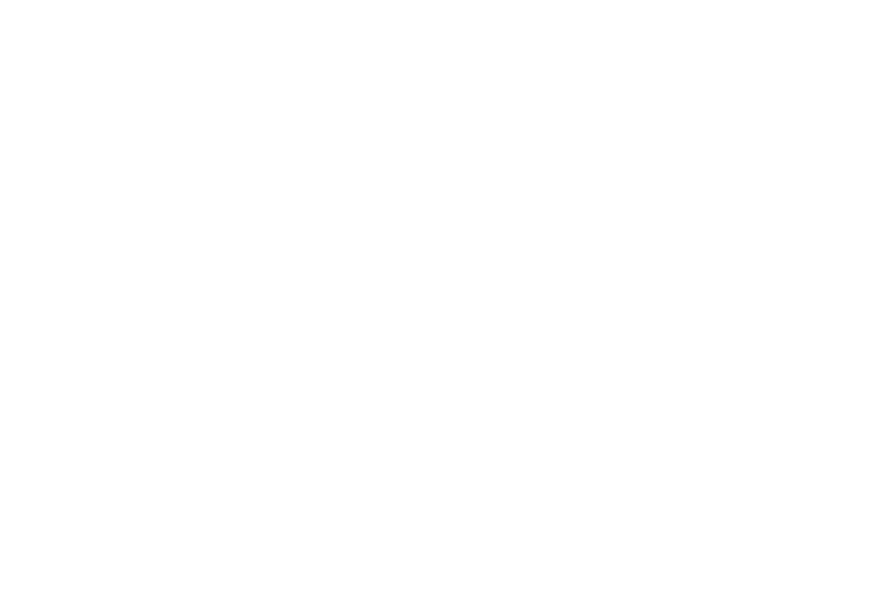 BEST DOCUMENTARY FEATURE JURY AWARD - Atlanta Film Festival - 2018 (1).png