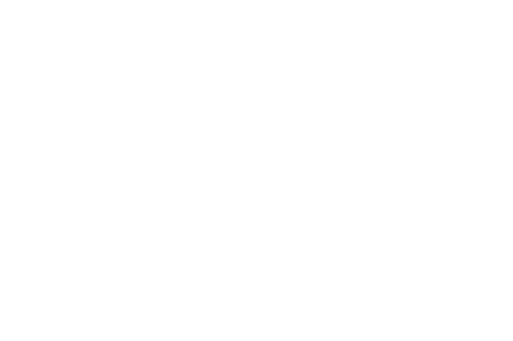 OFFICIAL SELECTION - North Carolina Gay Lesbian Film Festival - 2018.png
