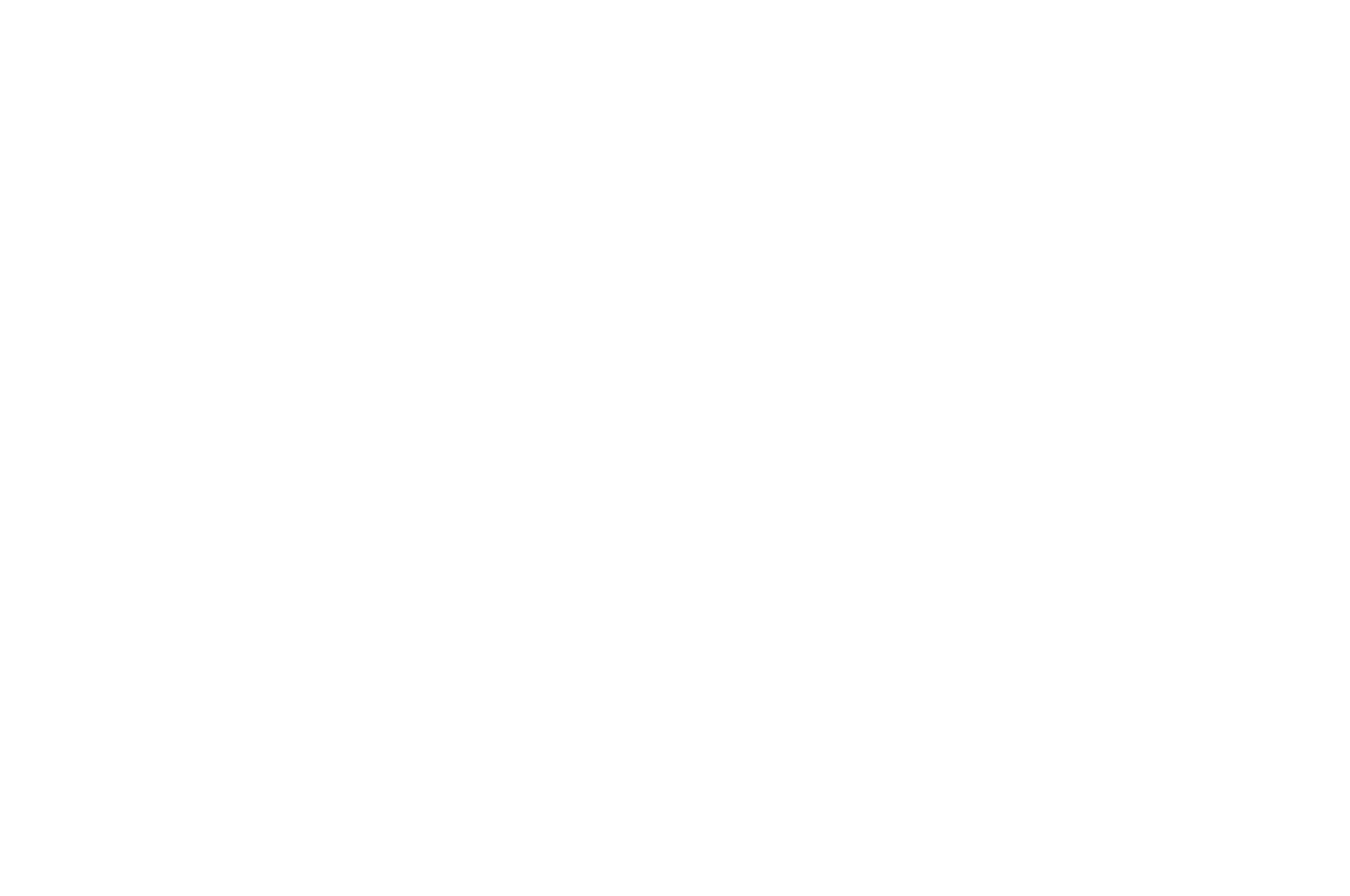 OFFICIAL SELECTION - Sidewalk Film Festival Birmingham - 2018.png