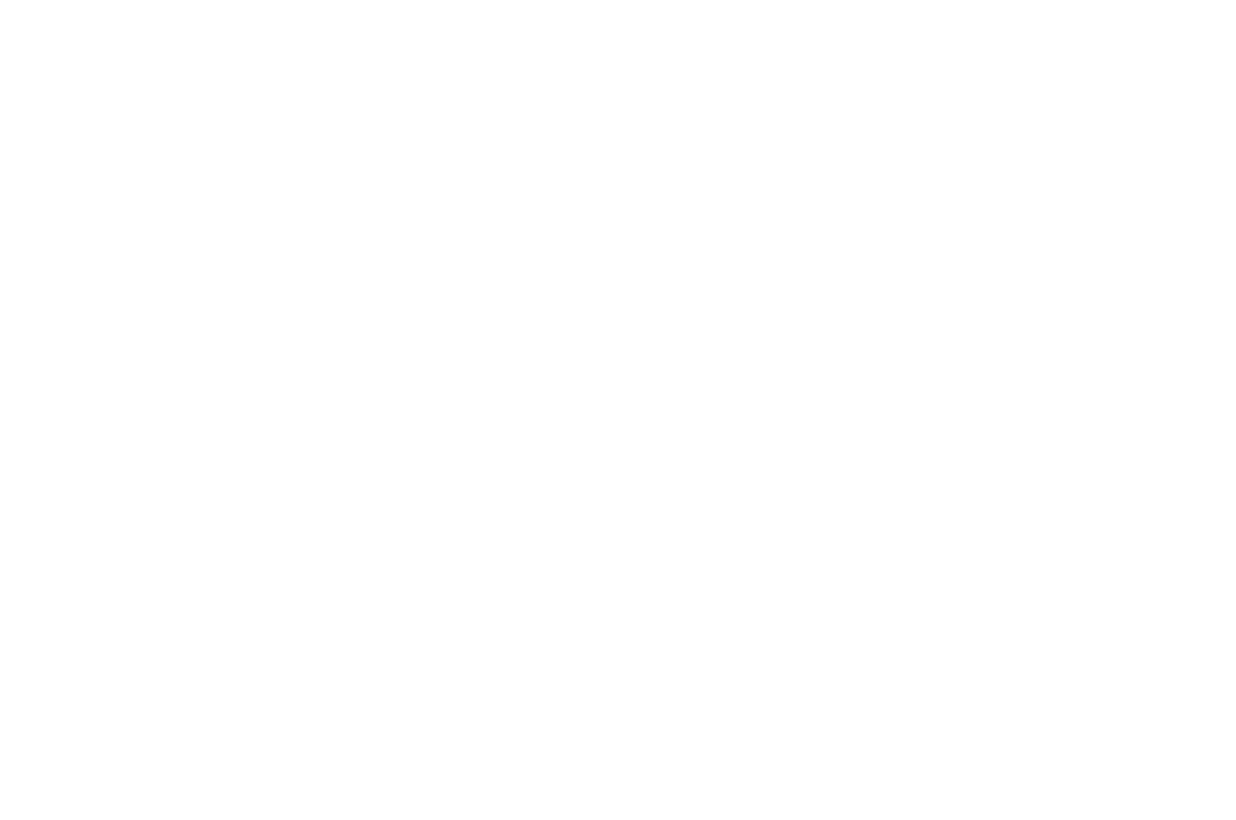 OFFICIAL SELECTION - OSLO Fusion Film Festival - 2018.png