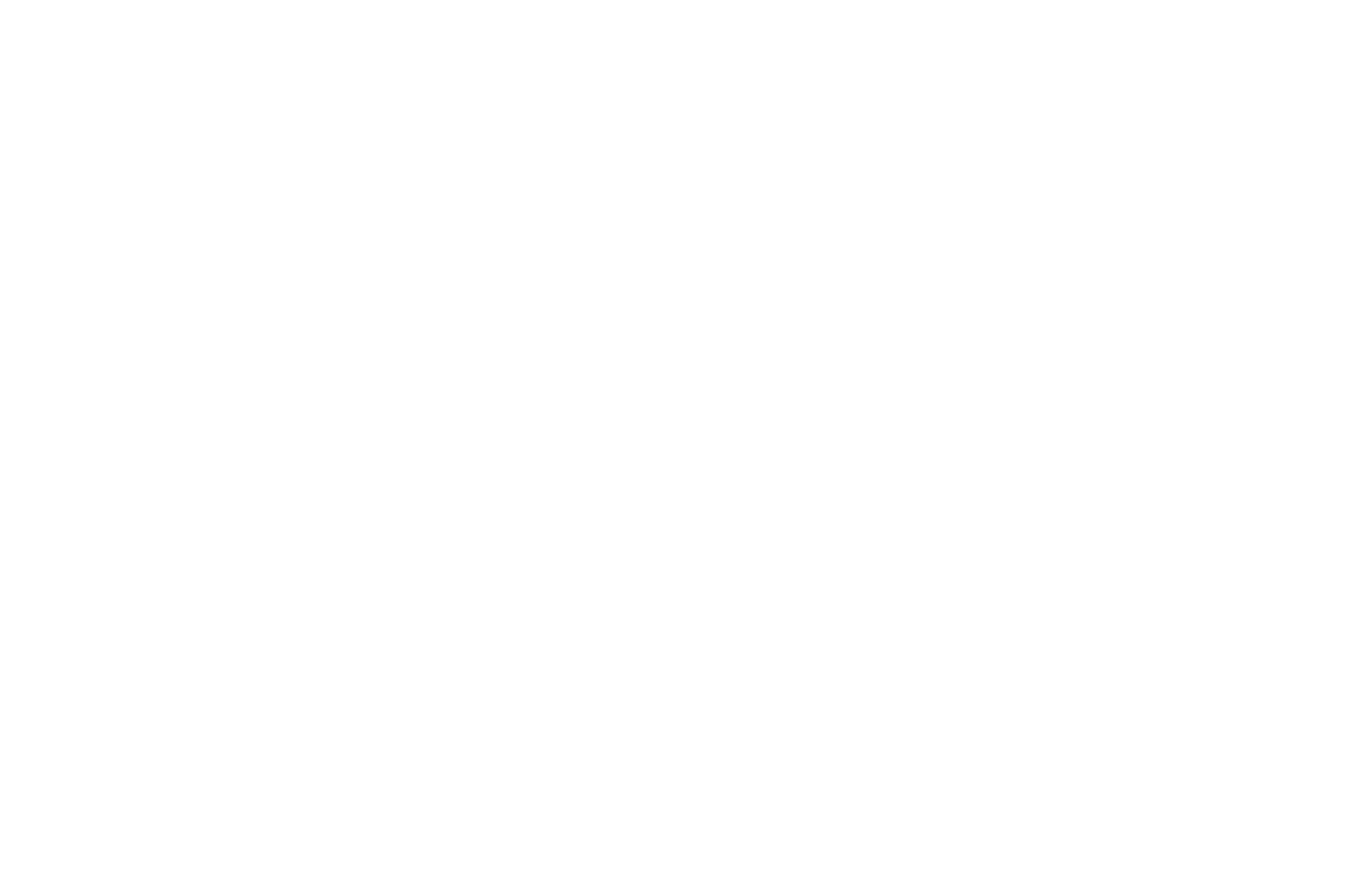 OFFICIAL SELECTION - Human Rights Film Festival Toronto - 2019.png