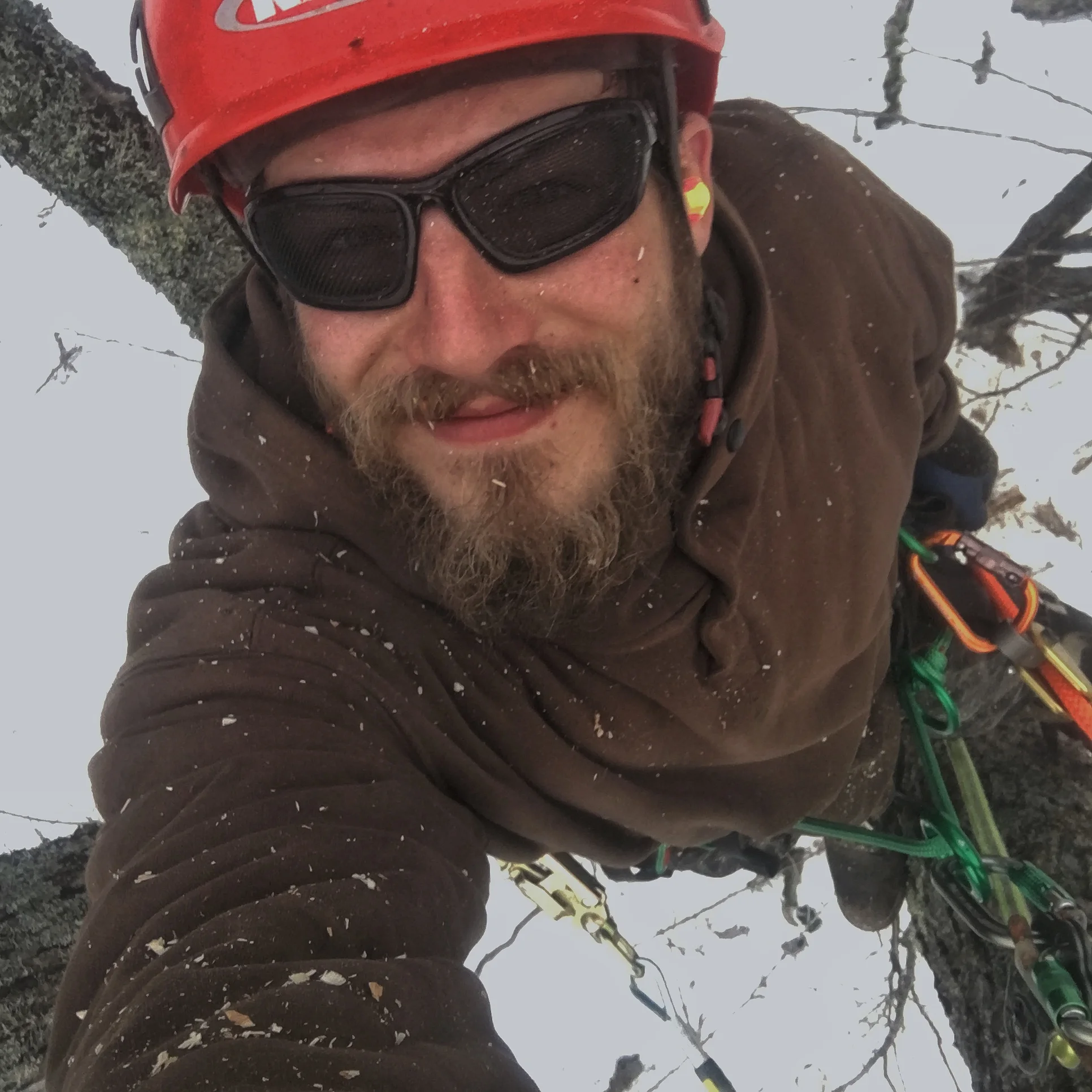 tree selfie1.JPG