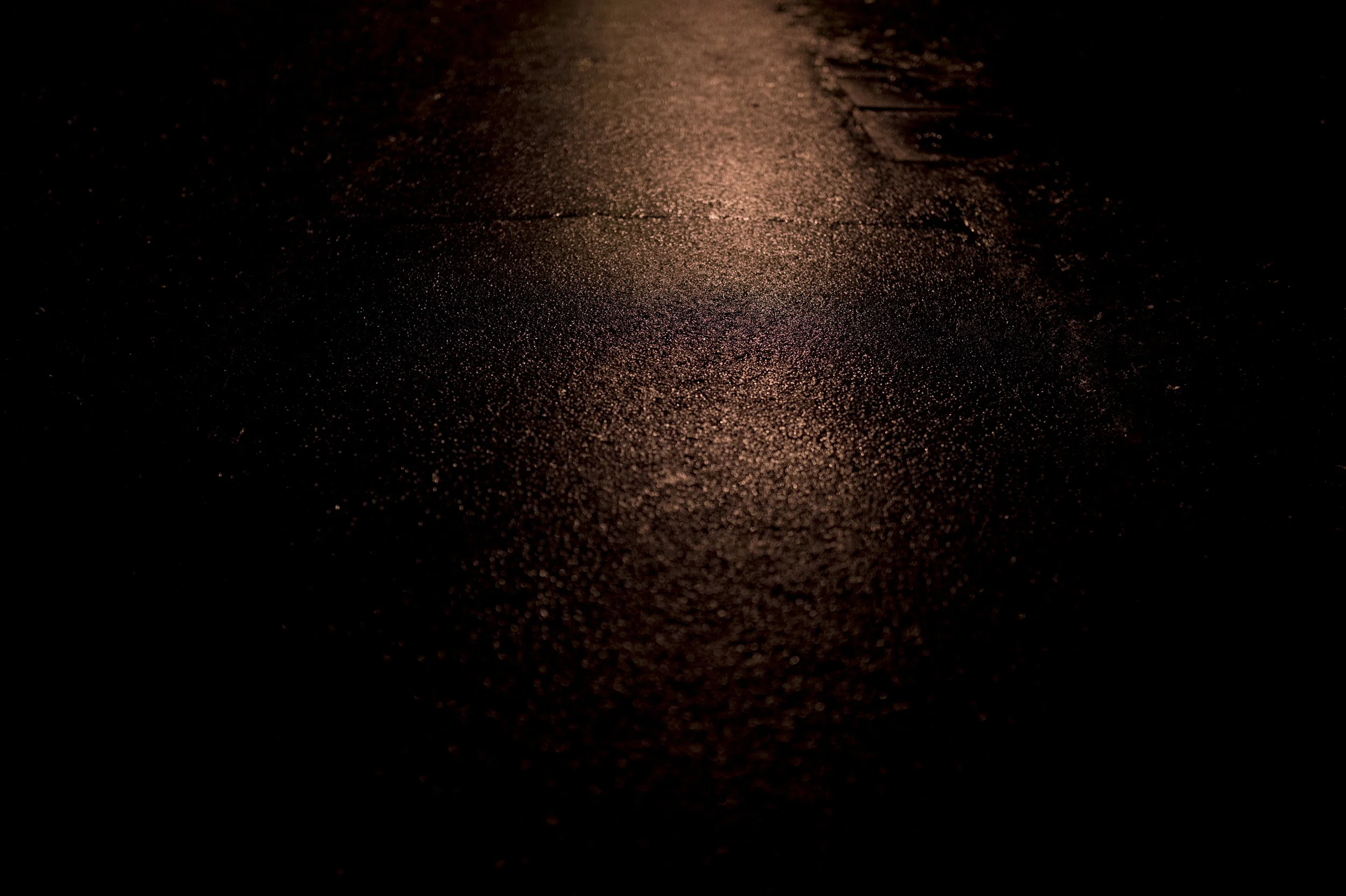 _PRB6405.jpg