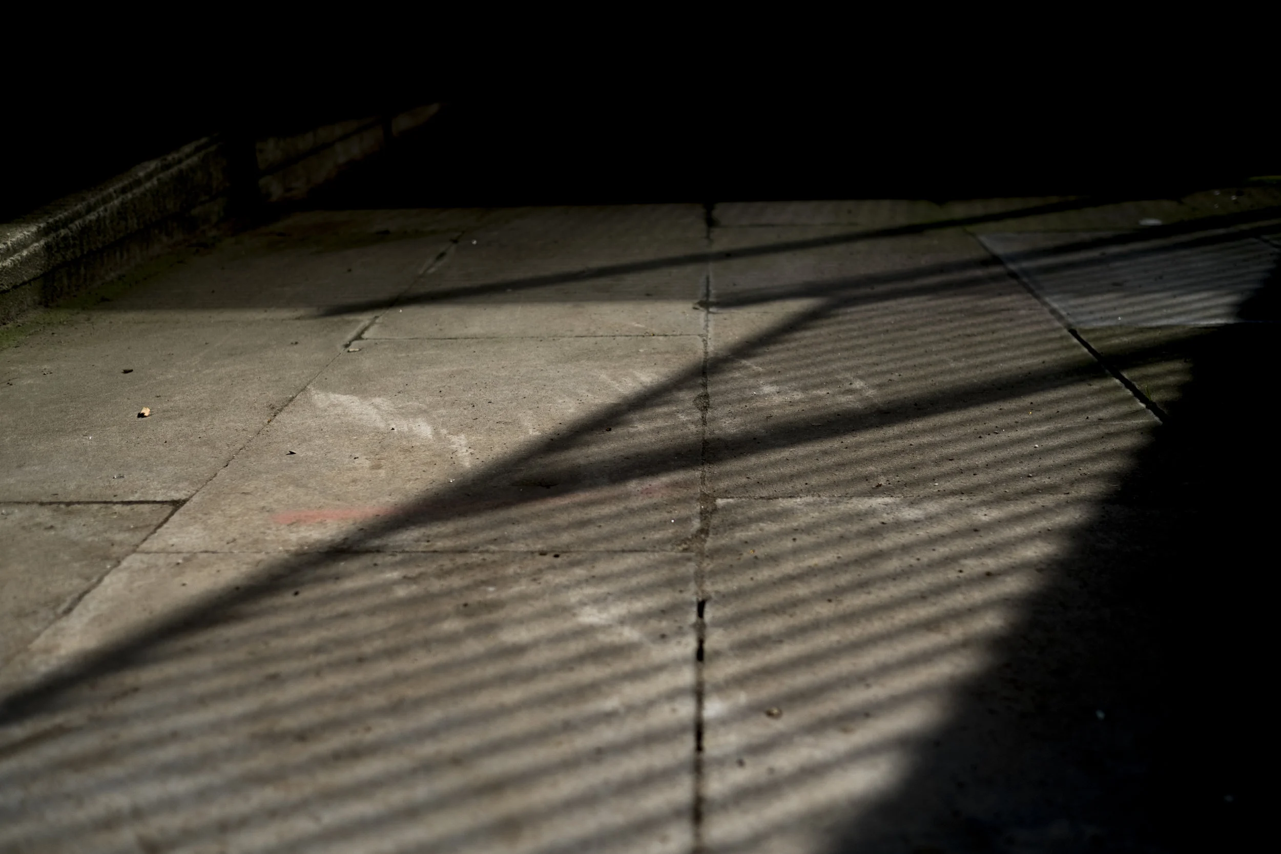 DSCF1413.jpg