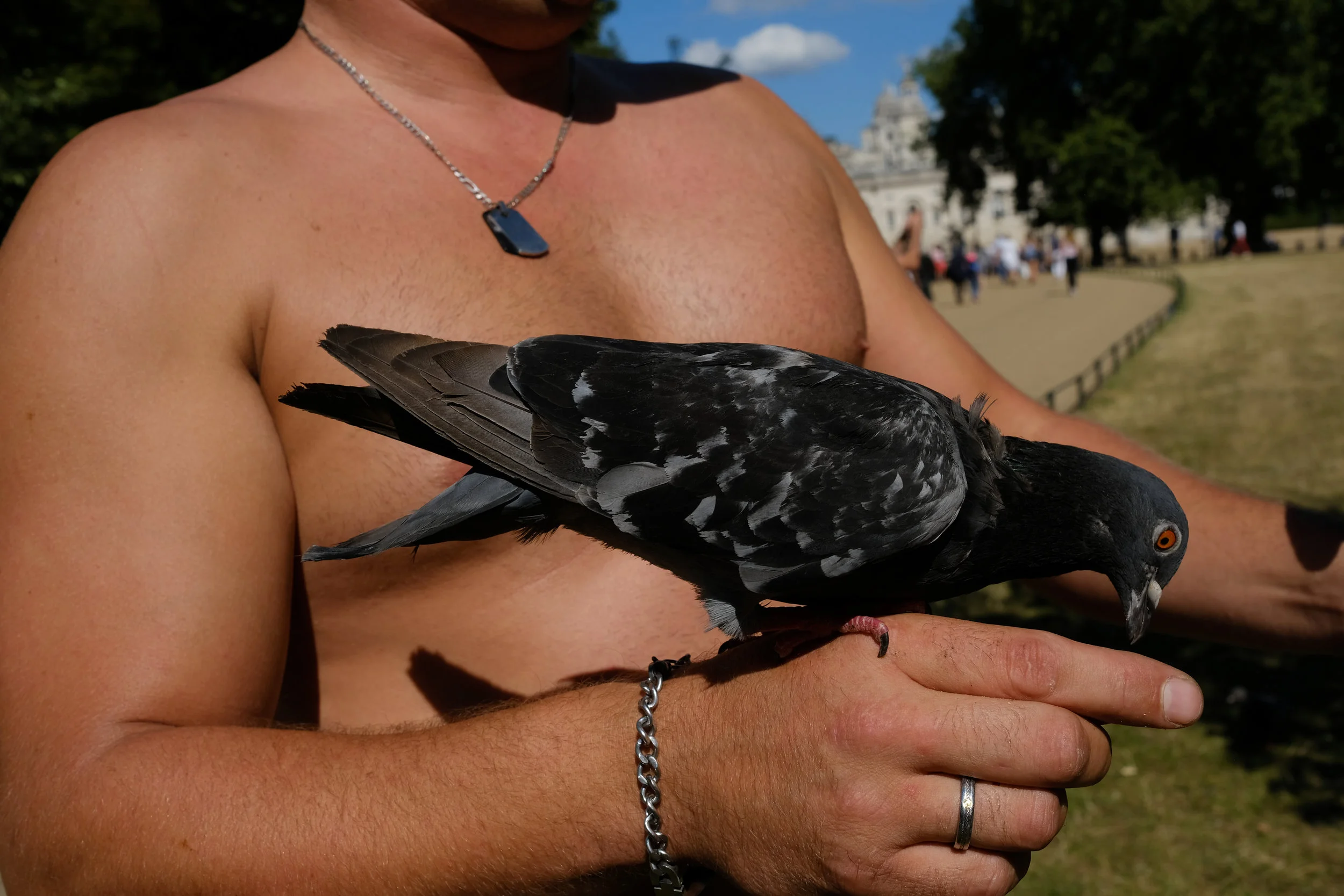 DSCF8614.jpg